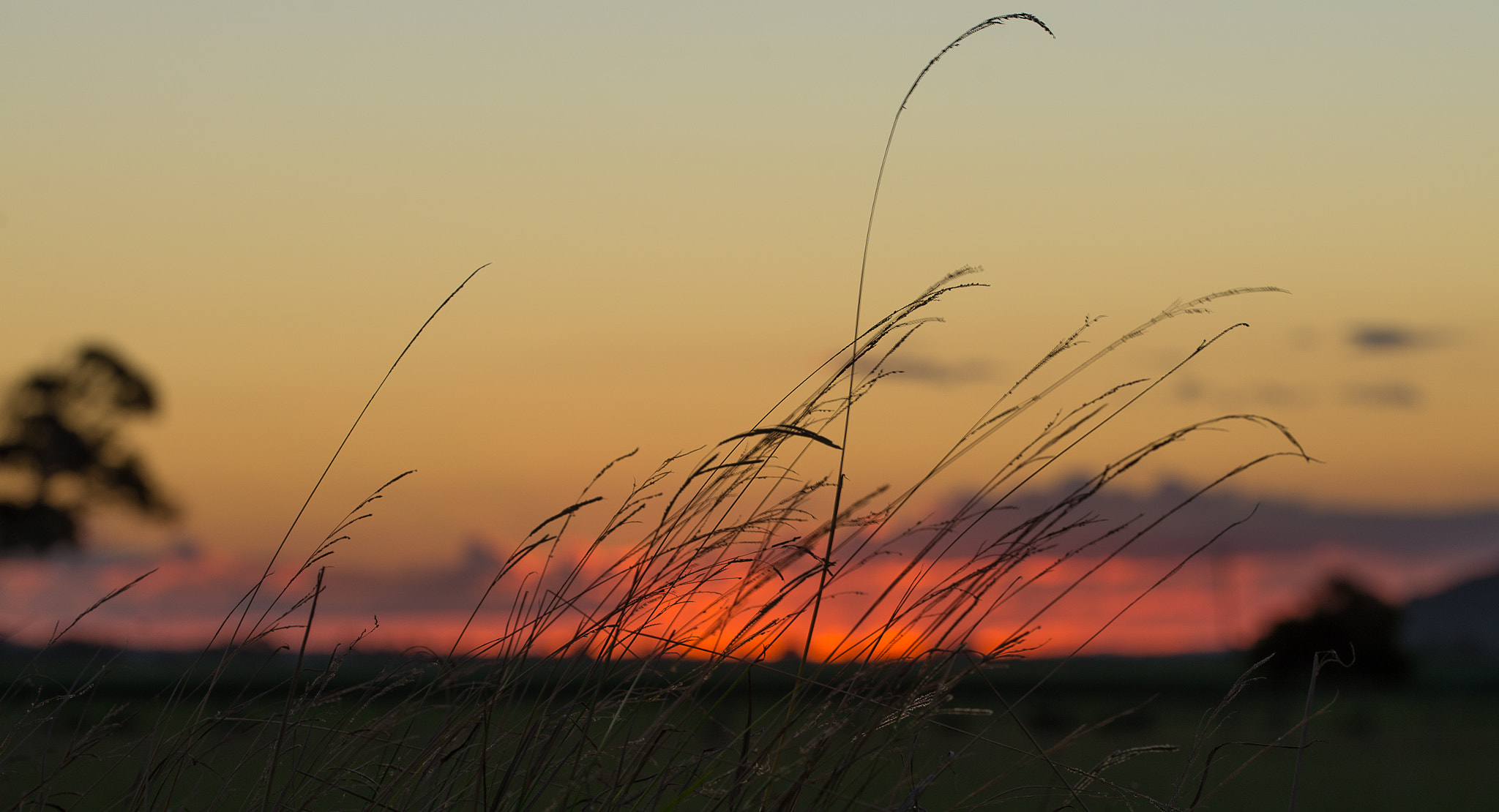 Sigma 150mm F2.8 EX DG OS Macro HSM sample photo. Sunset in the country near woodburn photography