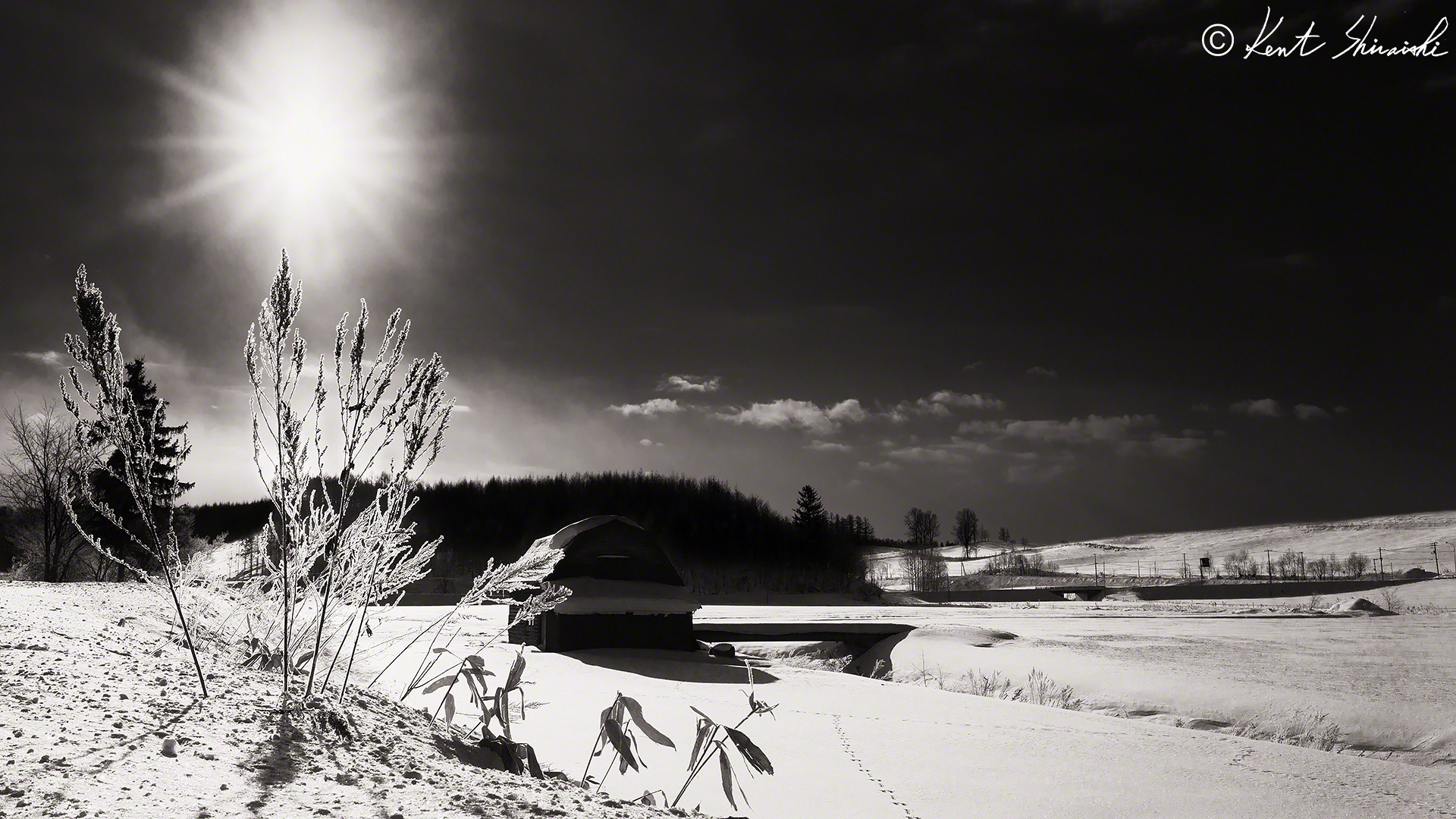 The sun shines brightly by Kent Shiraishi / 500px