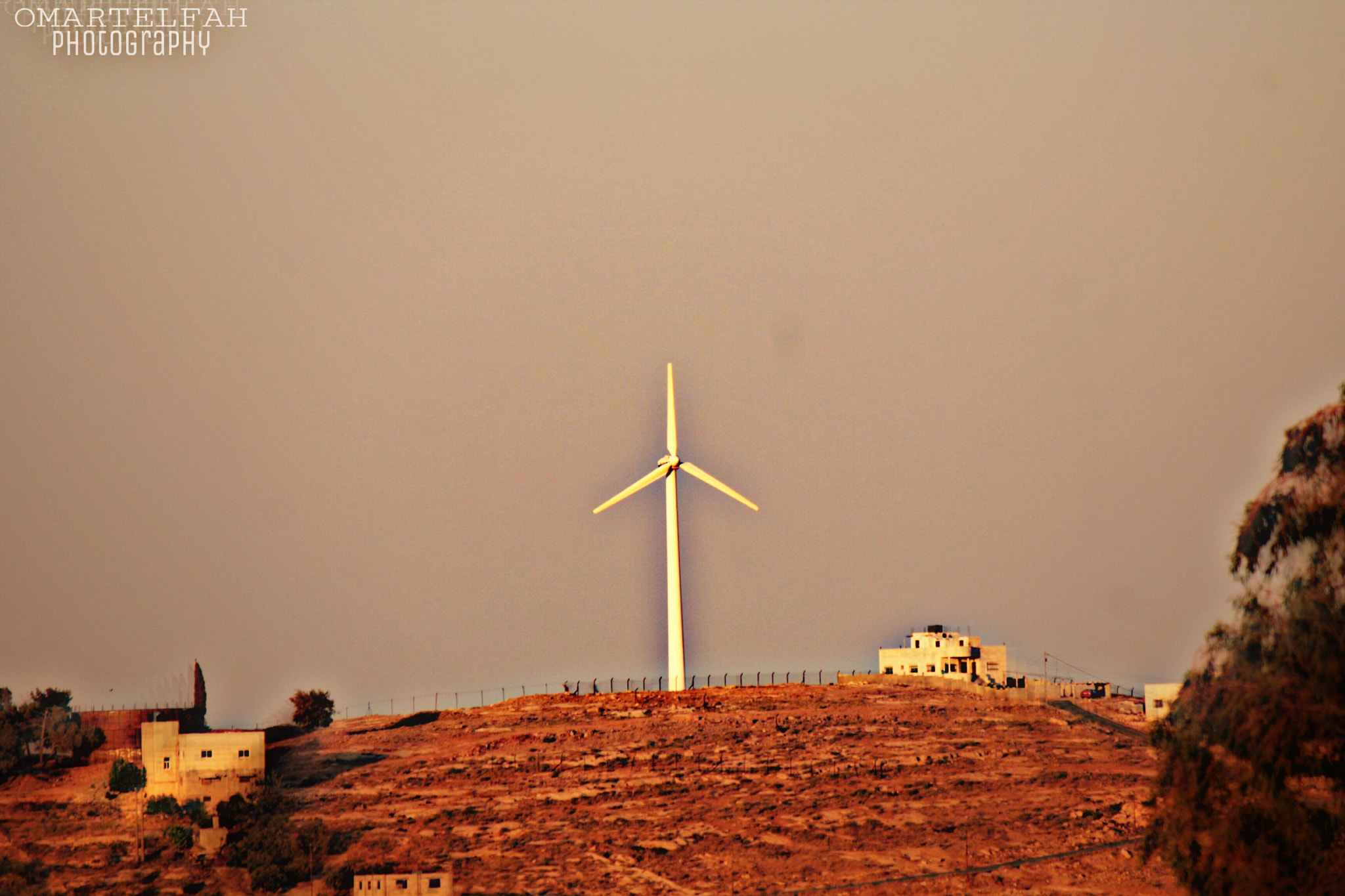 Canon EF-S 55-250mm F4-5.6 IS II sample photo