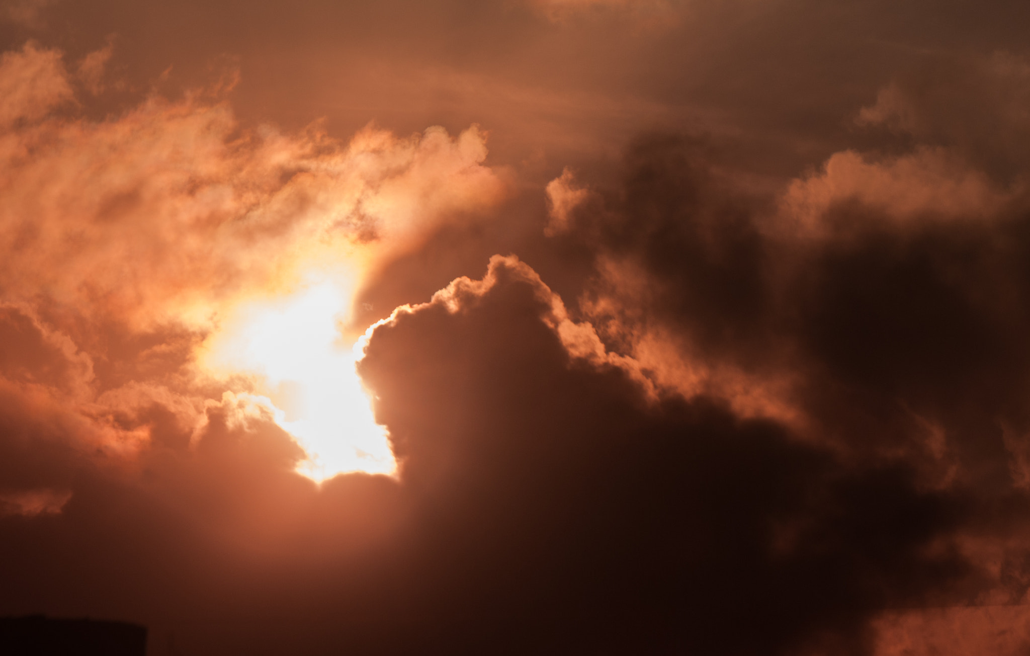 Nikon D200 sample photo. Good morning, follow me photography