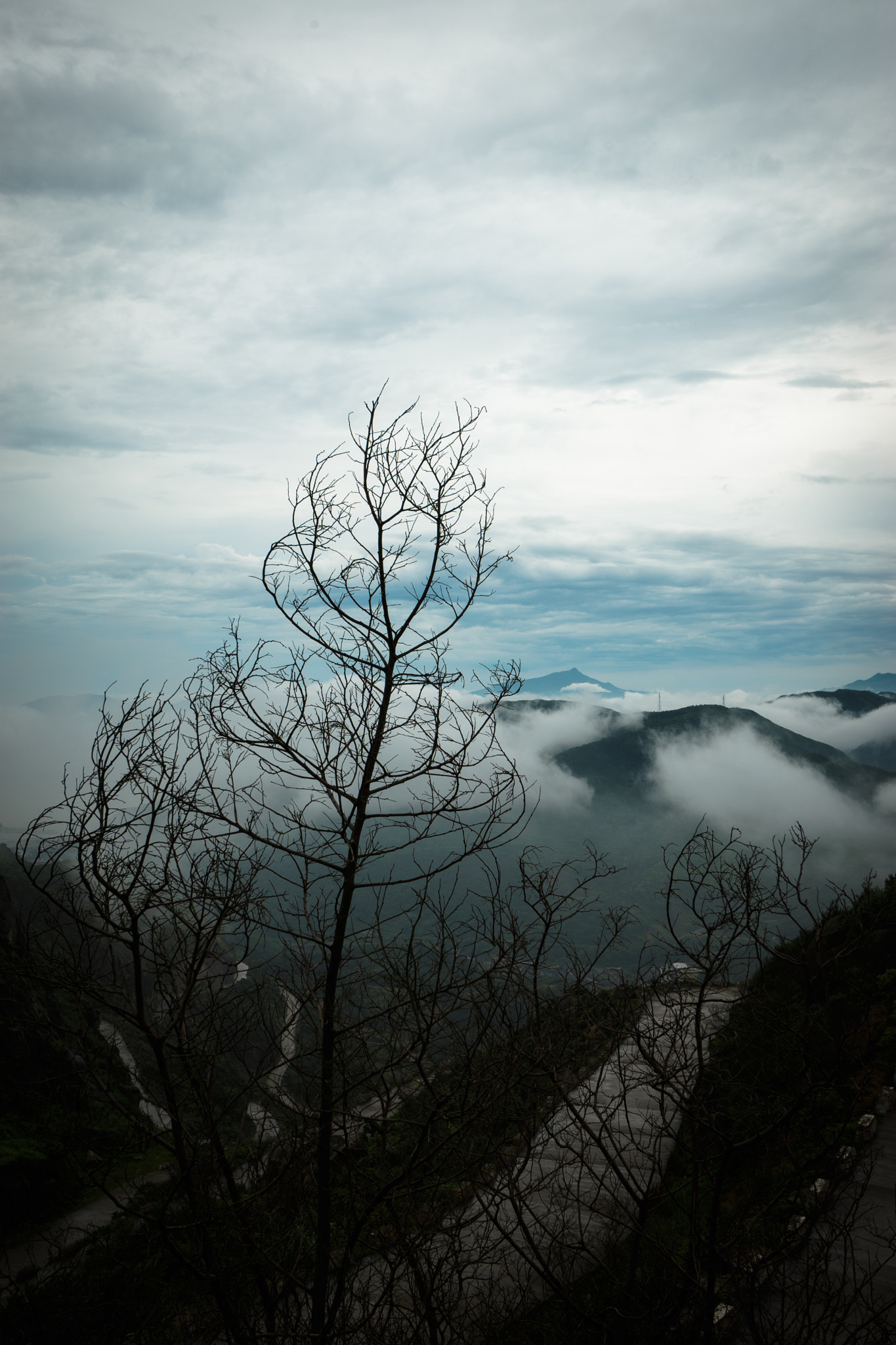 Sony a7 + Sony Vario-Sonnar T* 16-35mm F2.8 ZA SSM sample photo