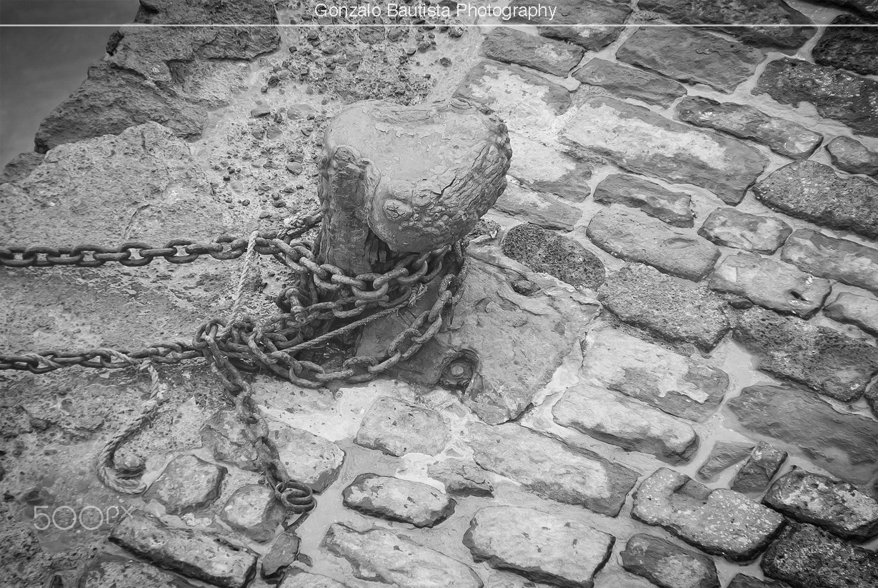 Nikon D40X sample photo. The old rusty seawall. photography