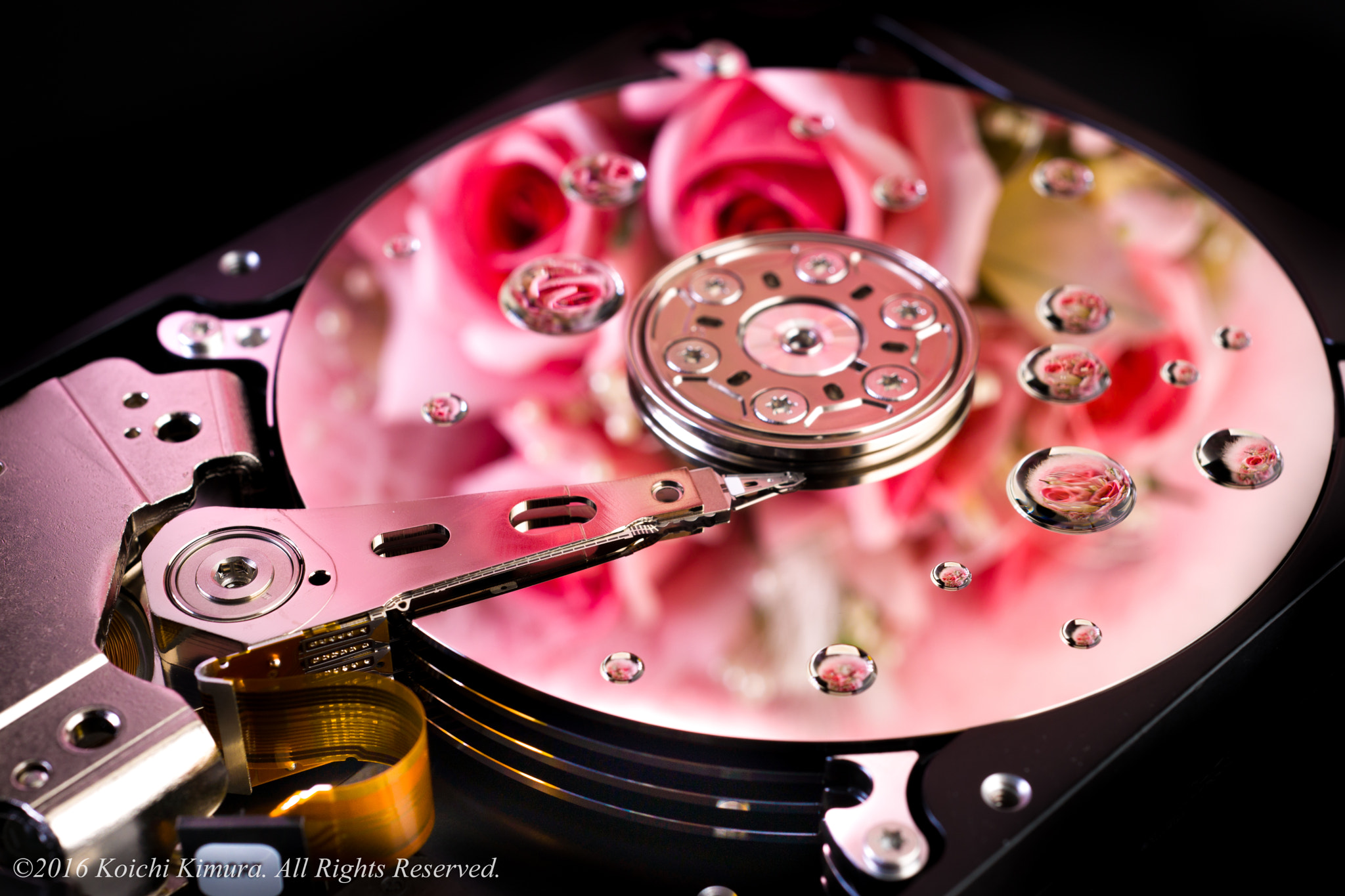 Sony Alpha DSLR-A900 + MACRO 50mm F2.8 sample photo. Hdd photography