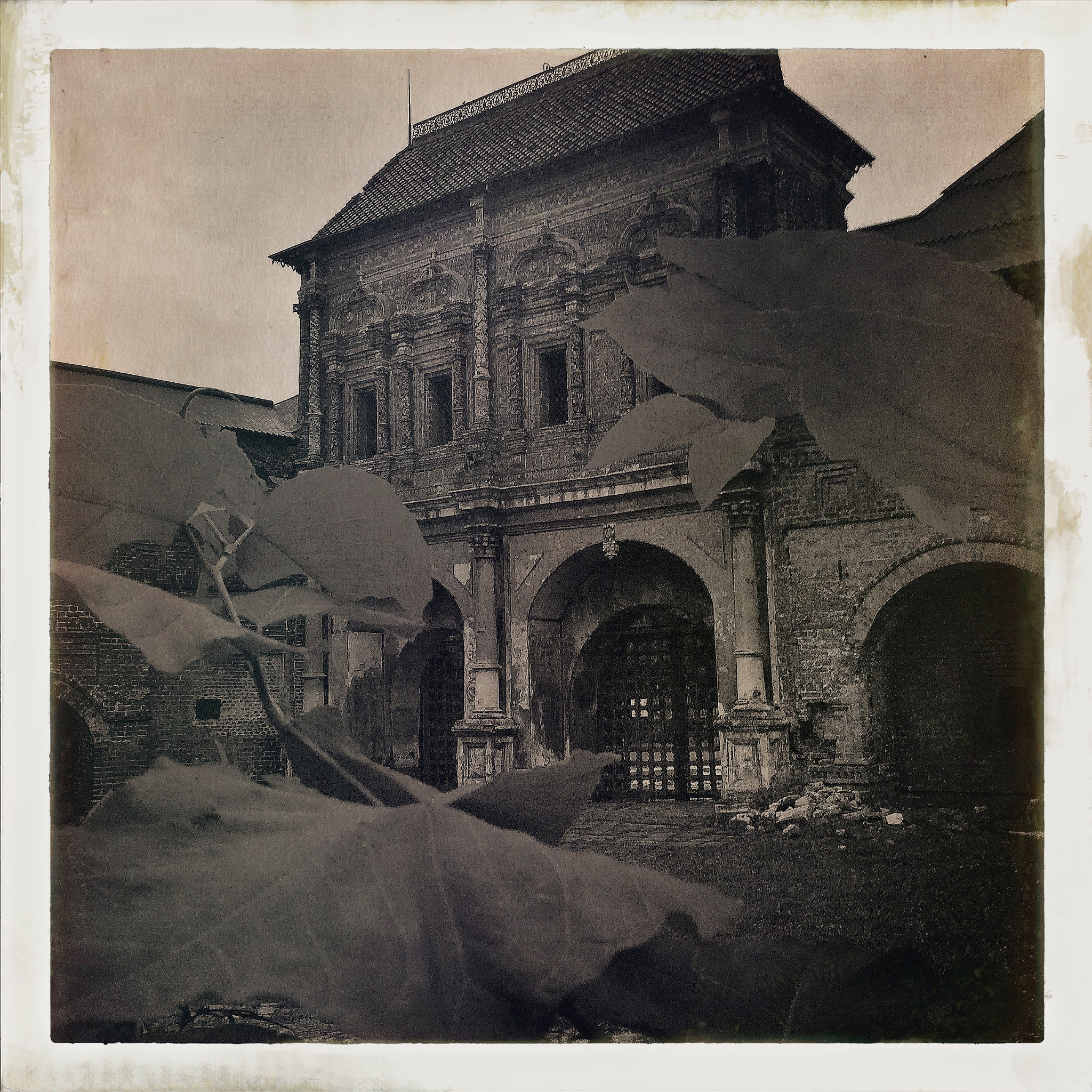 Hipstamatic 313 sample photo