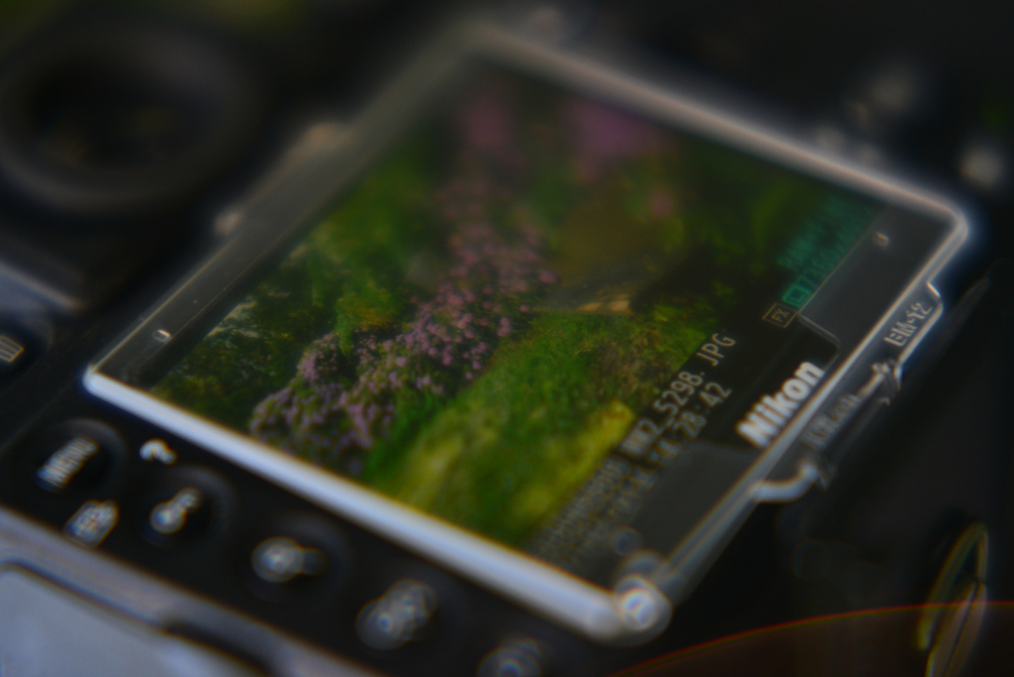 Manual Lens No CPU sample photo. Rhododendron lapse photography