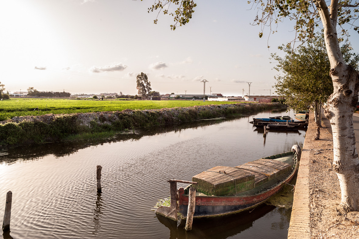 Canon EOS-1Ds Mark II sample photo. Port del tremolar, albufera de valència photography