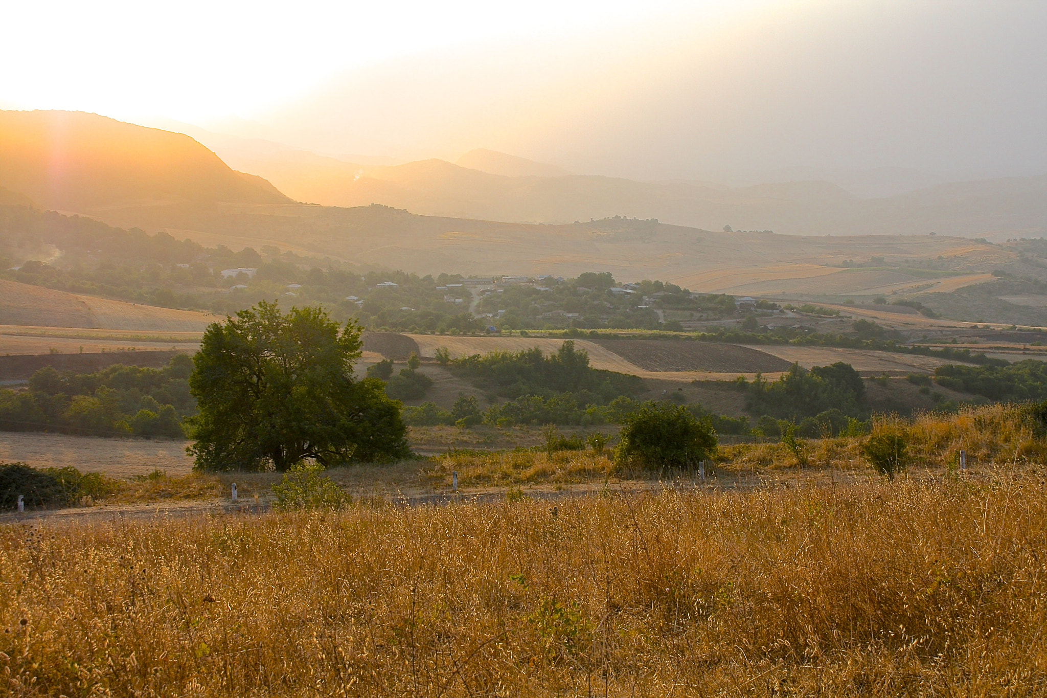 Canon EOS 40D sample photo. Rays of gold photography