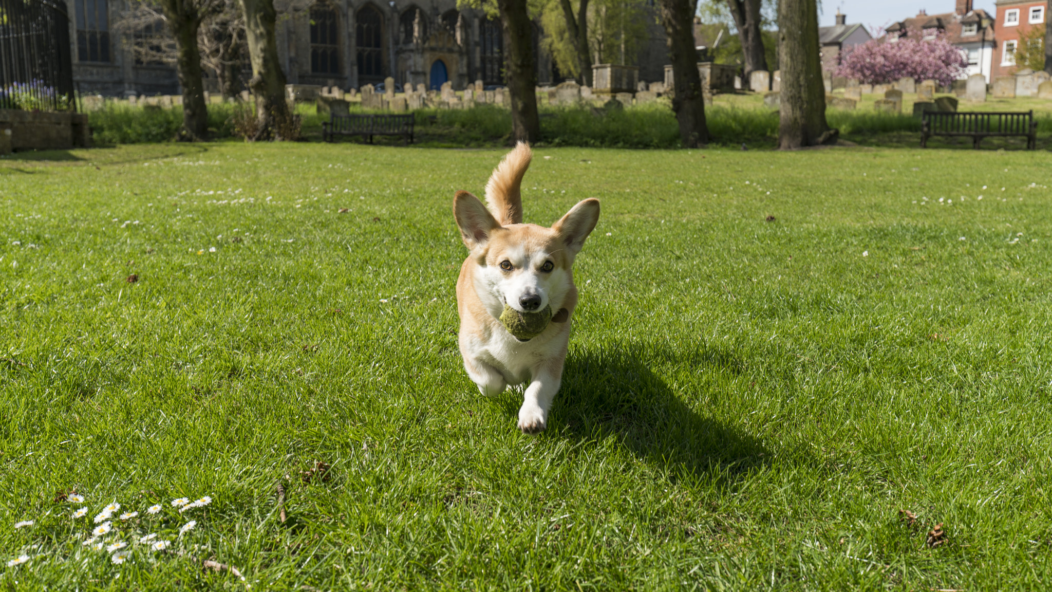 Sony a7R II + Canon EF 16-35mm F4L IS USM sample photo. _dsc0465.jpg photography