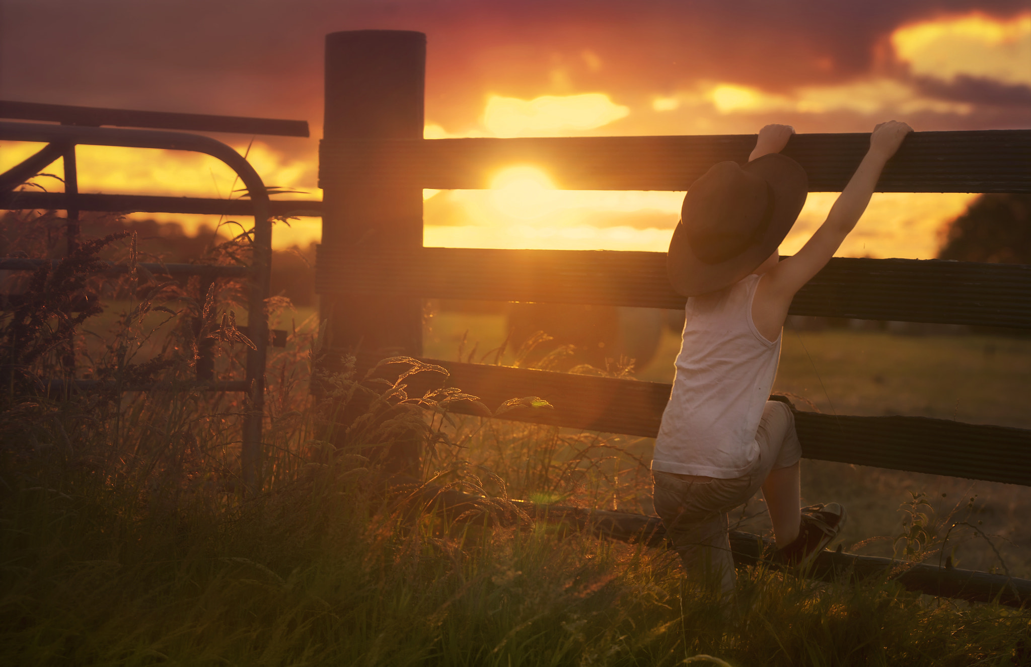 Sigma 105mm F2.8 EX DG OS HSM sample photo. Dare to chase your dreams photography