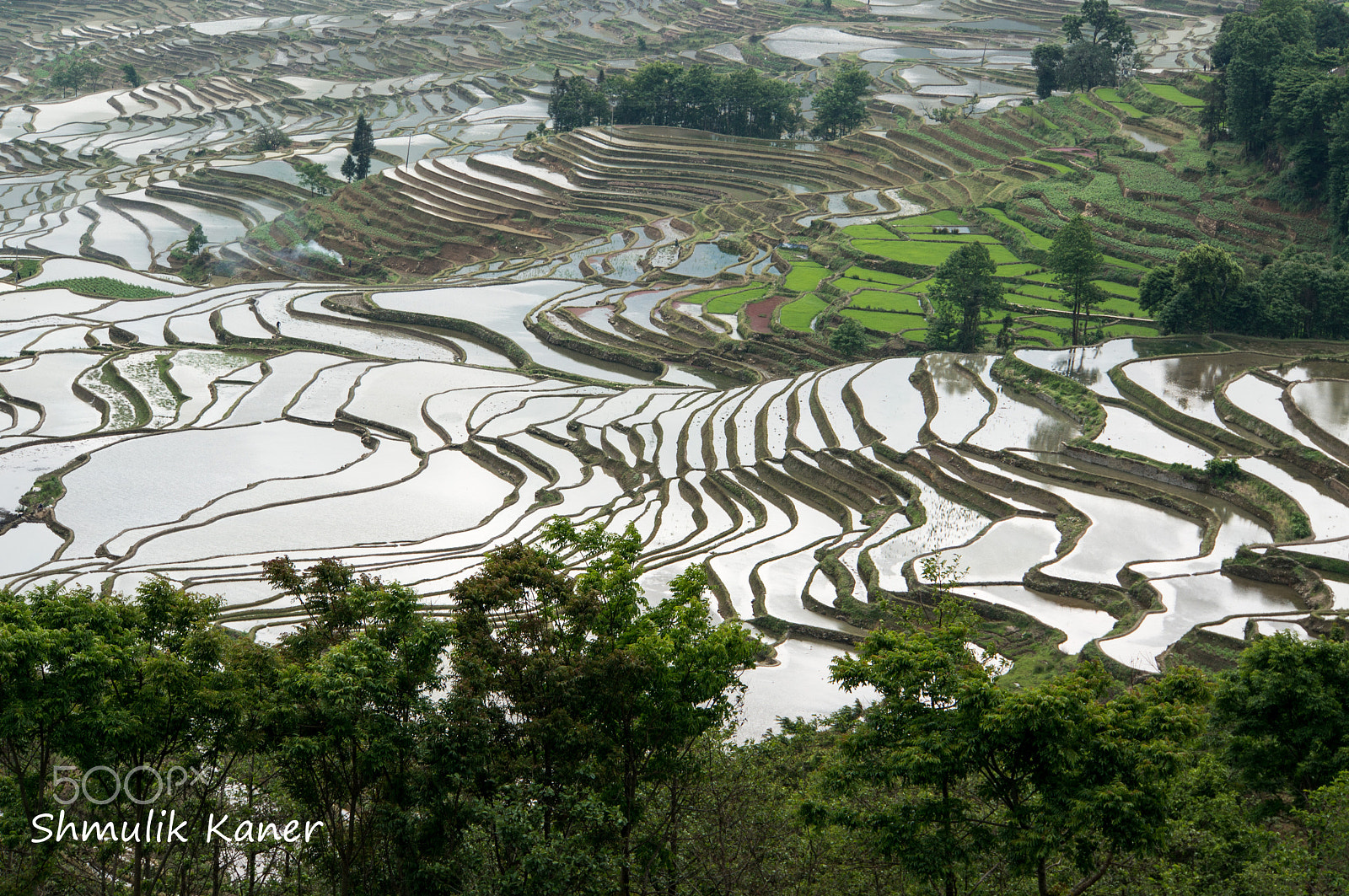 Sony E 18-200mm F3.5-6.3 OSS LE sample photo. Rice terraces photography