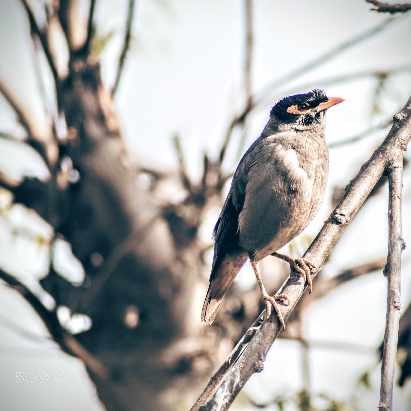 Sony Alpha DSLR-A200 + Tamron Lens (255) sample photo. Desolation photography