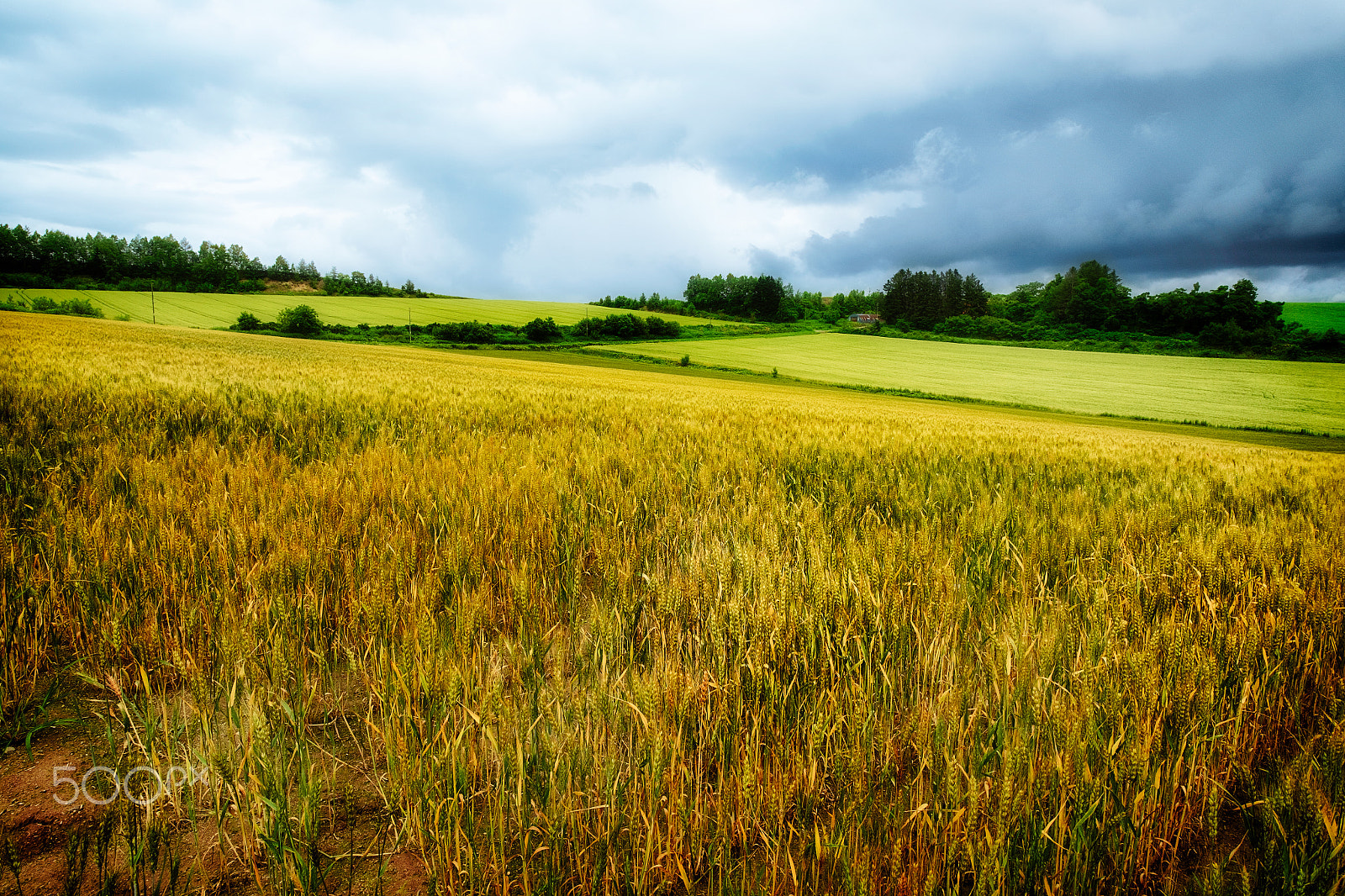 Fujifilm X-E1 + Fujifilm XF 10-24mm F4 R OIS sample photo. Farm photography