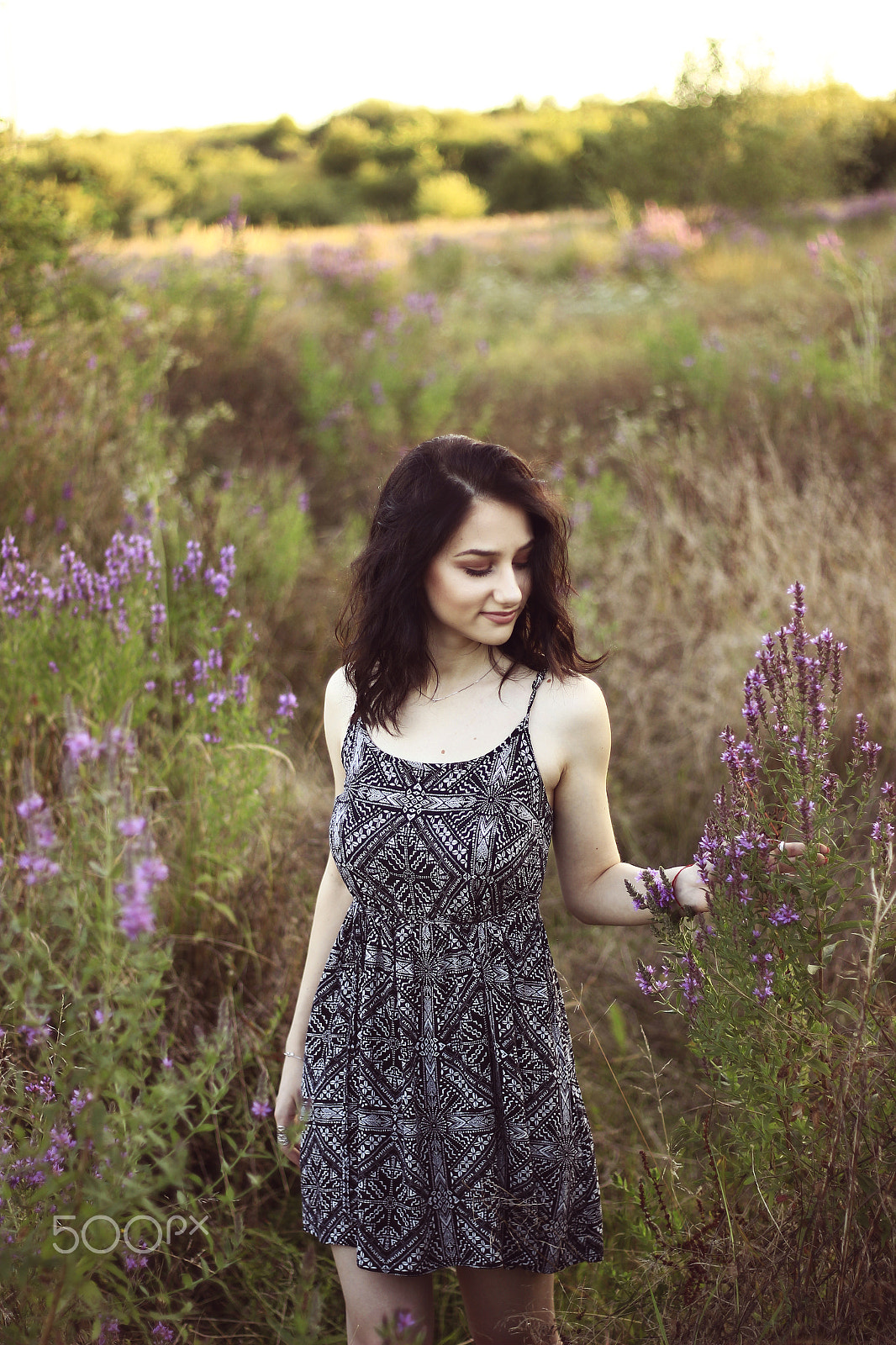 Canon EOS 600D (Rebel EOS T3i / EOS Kiss X5) + Canon EF 50mm F1.8 II sample photo. Girl in the field photography