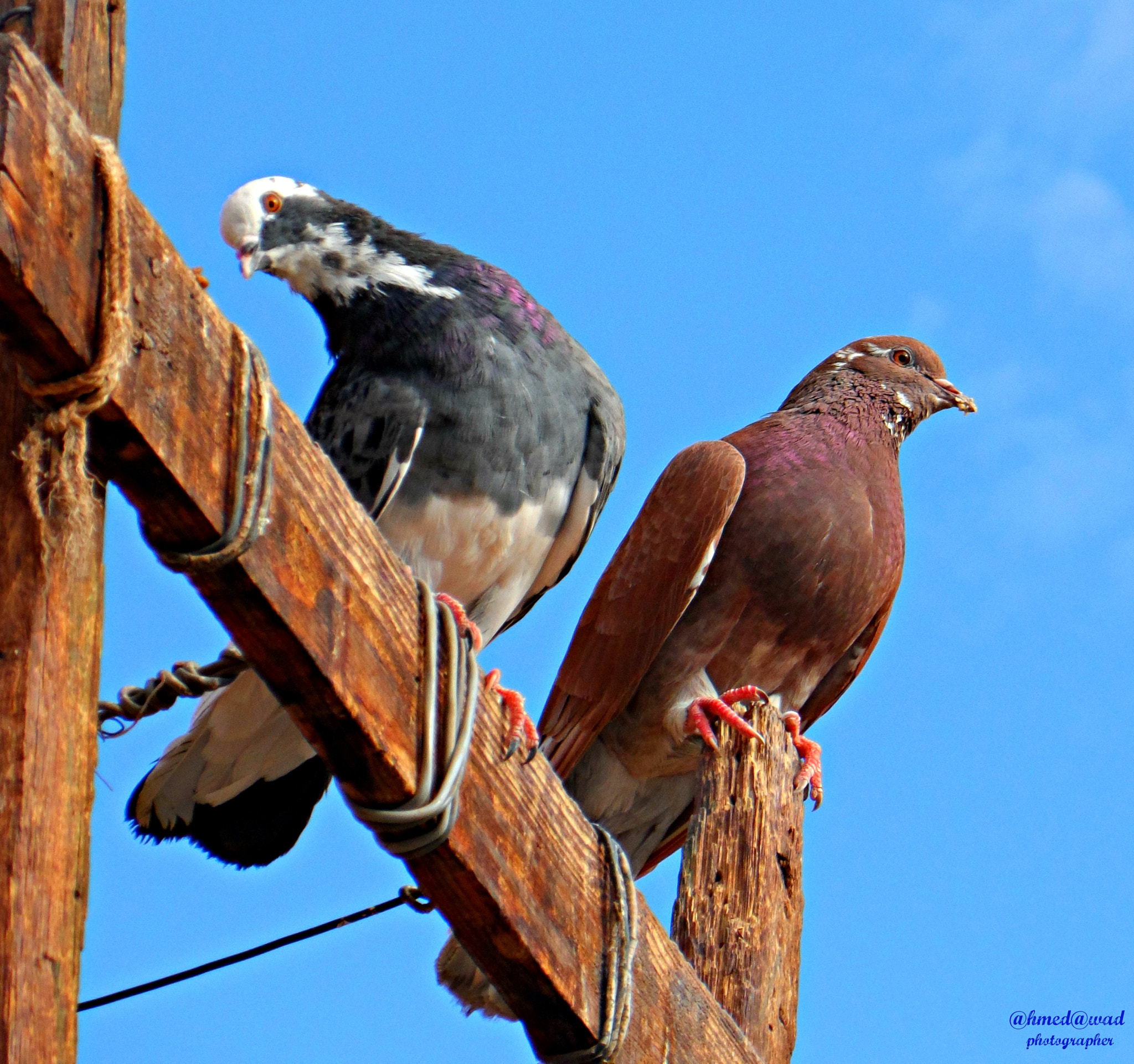 Samsung ST200 / ST200F / ST201 / ST201F / ST205F sample photo. Jpg photography