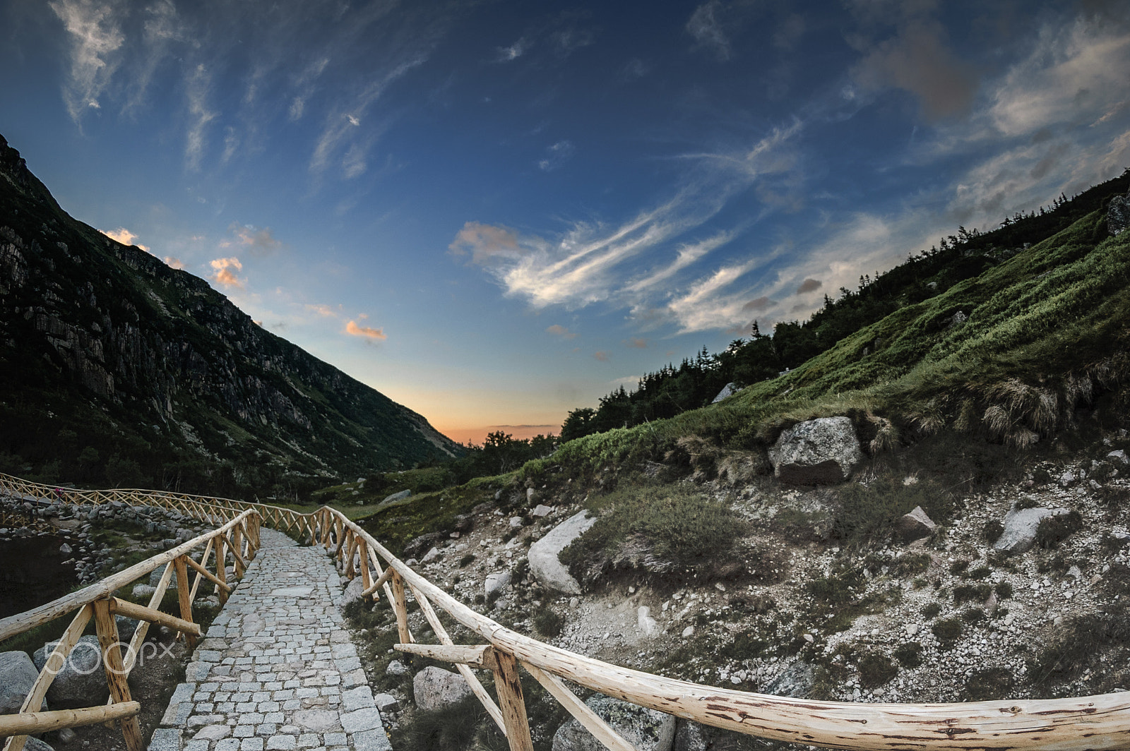 Nikon D70s + Samyang 8mm F3.5 Aspherical IF MC Fisheye sample photo. Mały staw photography