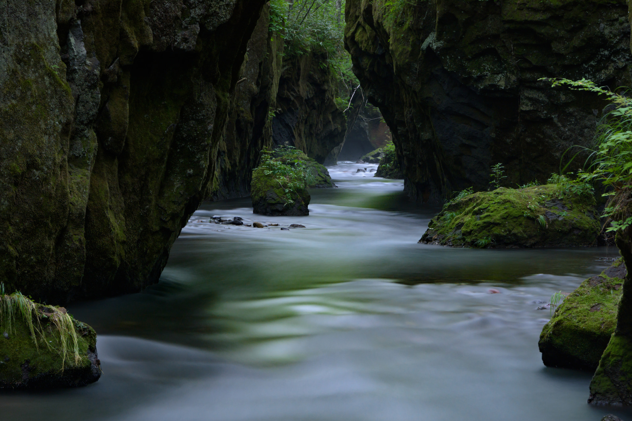 Nikon AF-S Nikkor 24-70mm F2.8E ED VR sample photo. Mossy river photography
