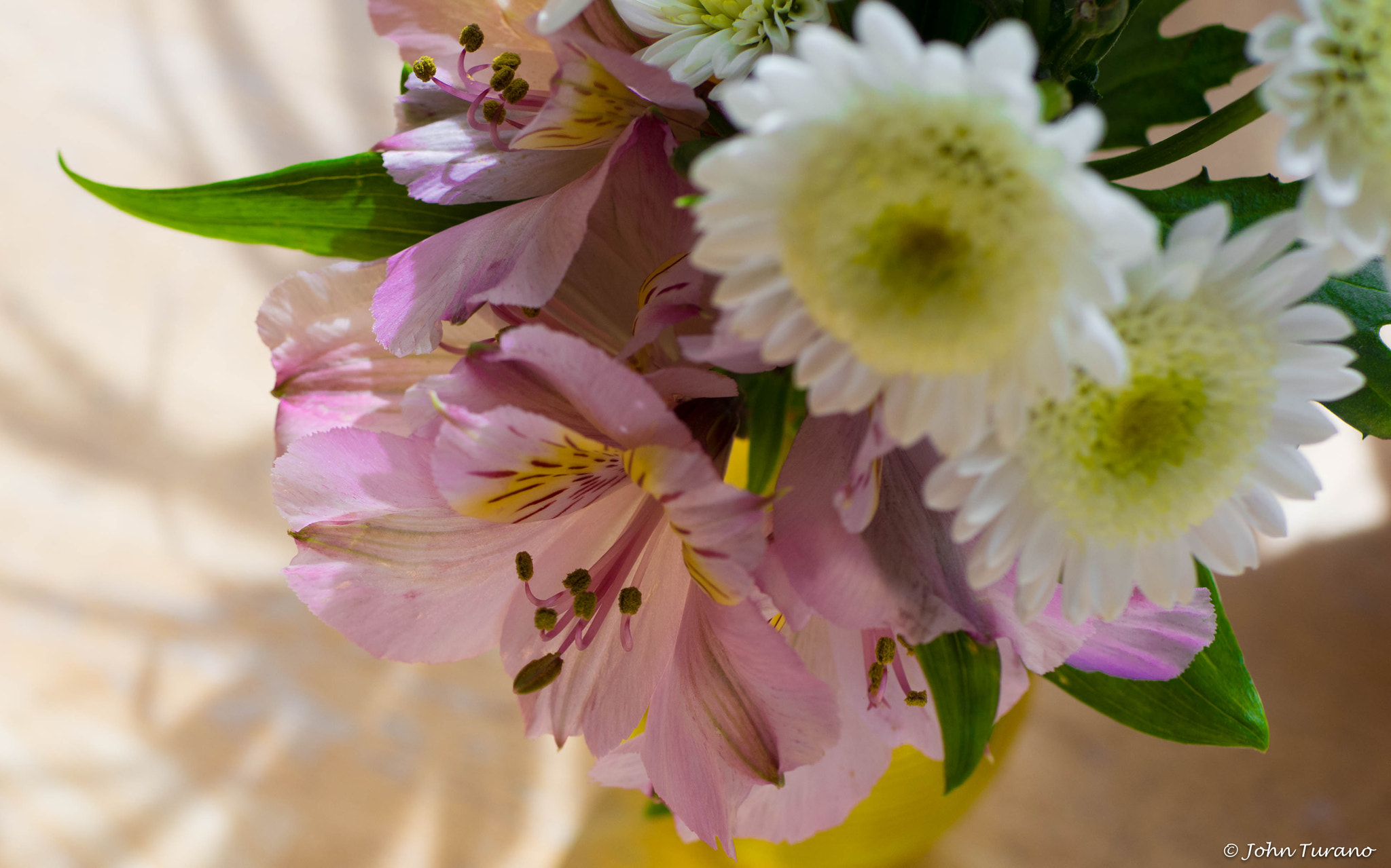 Olympus OM-D E-M10 + Sigma 30mm F1.4 DC DN | C sample photo. Bouquet photography