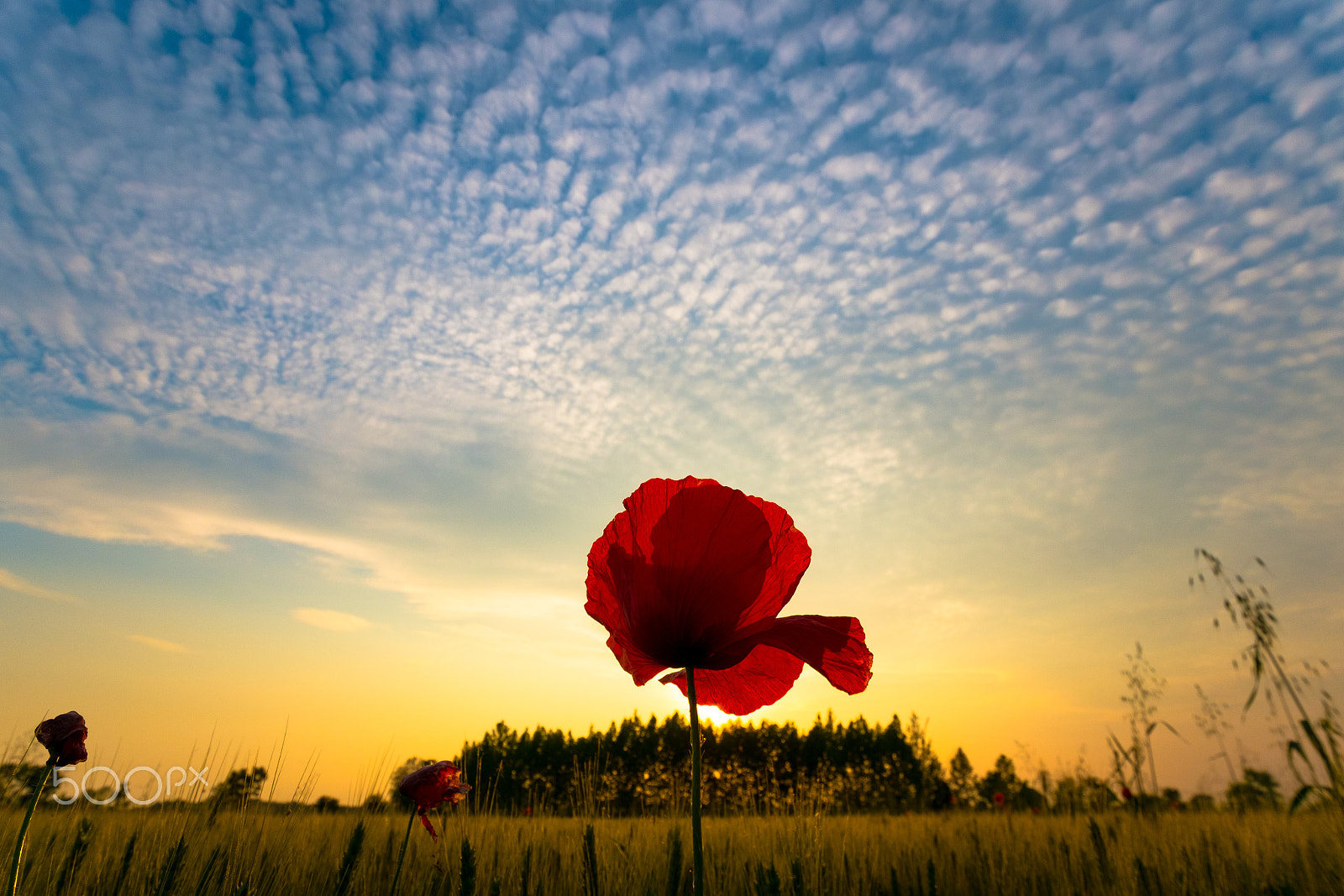 Fujifilm X-M1 + Fujifilm XF 10-24mm F4 R OIS sample photo. Ammirando in solitudine photography