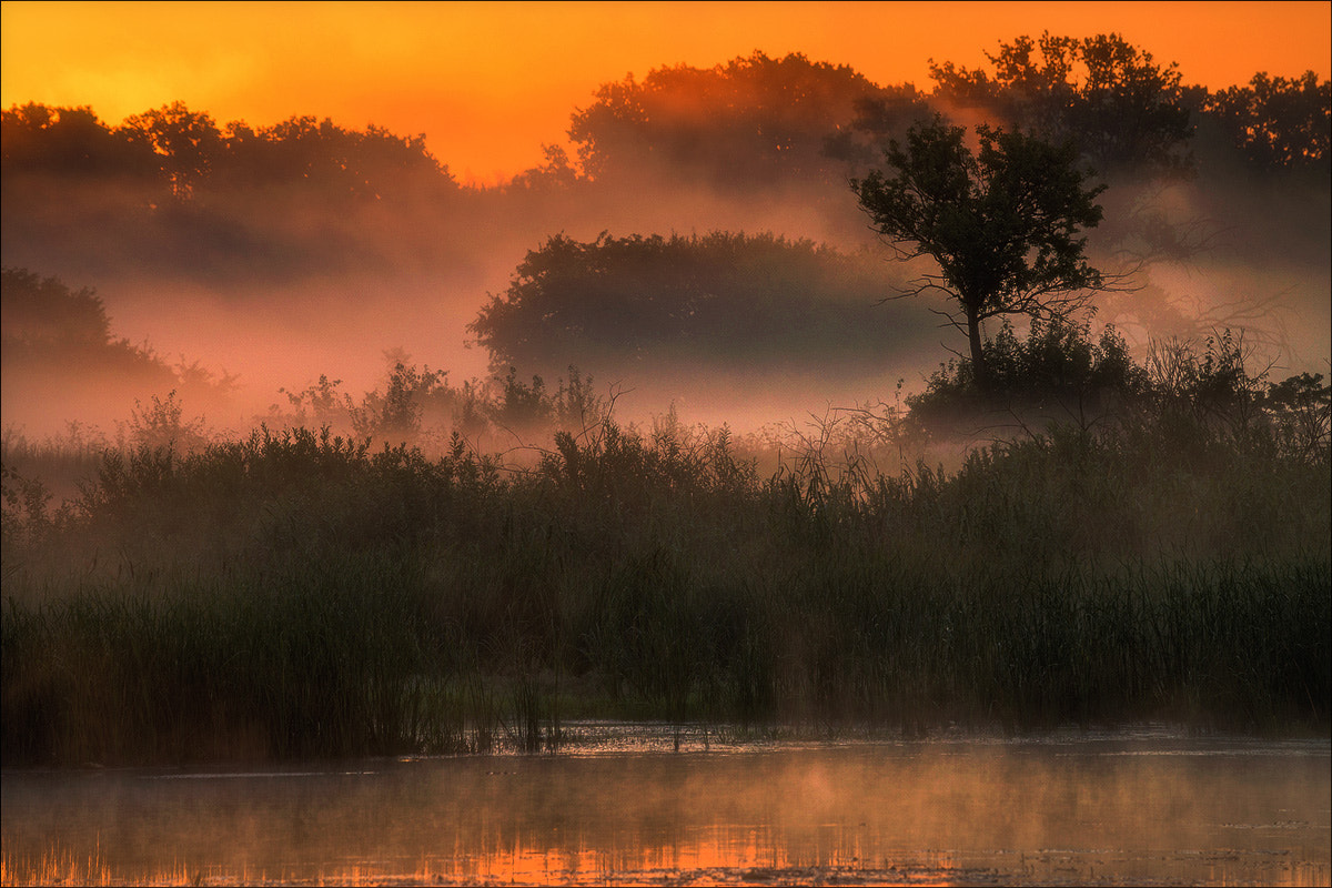 Sony a99 II sample photo. Sunrise on the river photography