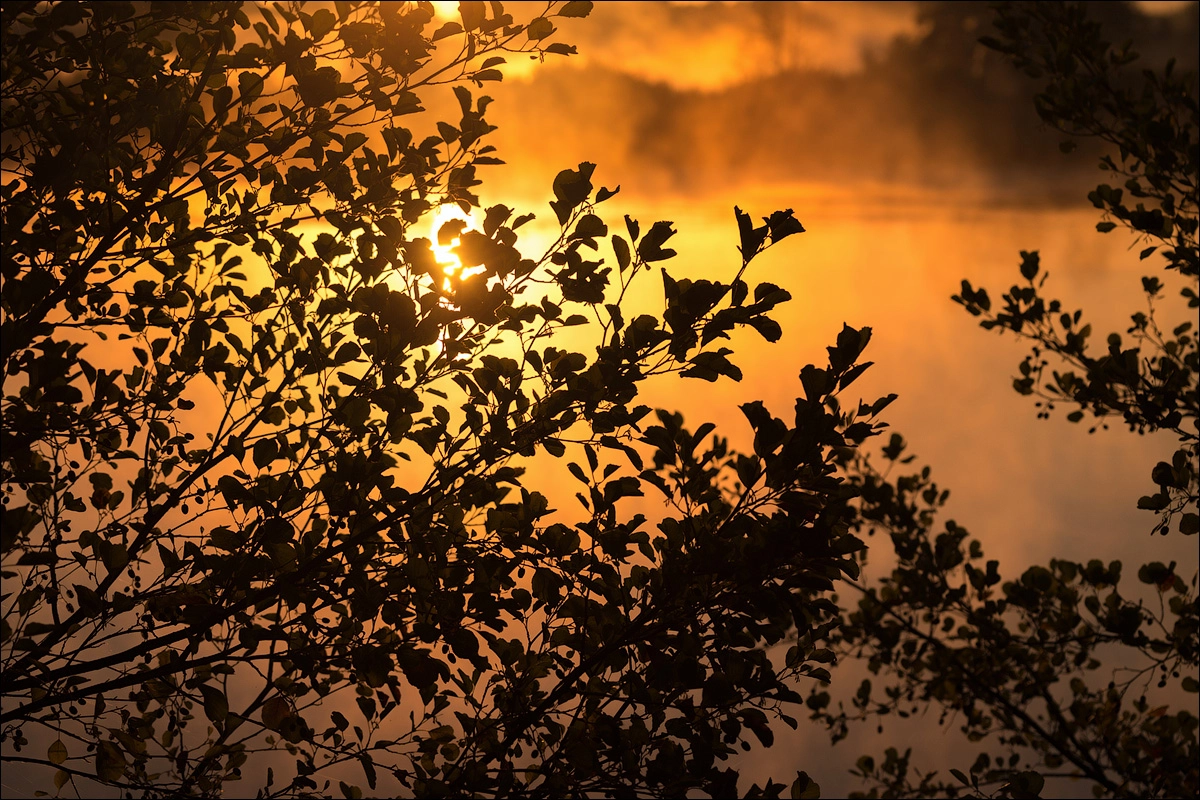 Sony a99 II + Sony 70-400mm F4-5.6 G SSM sample photo. Sunrise on the river photography