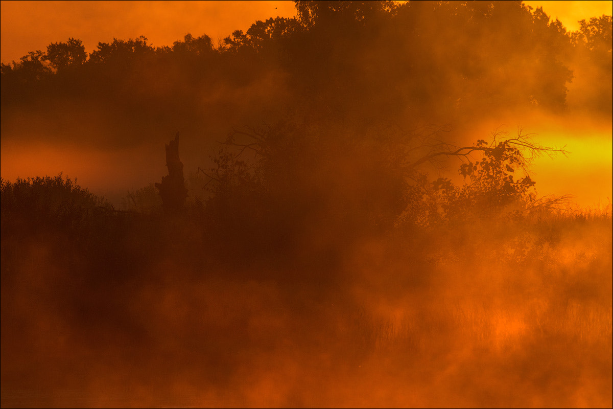 Sony a99 II + Sony 70-400mm F4-5.6 G SSM sample photo. Sunrise on the river photography