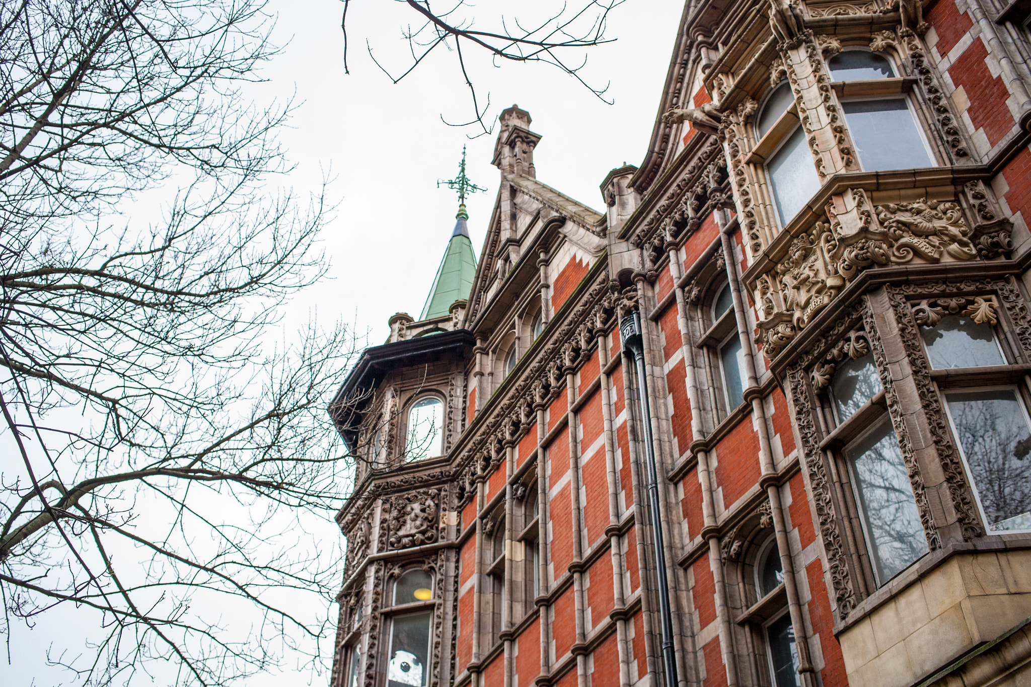 Canon EOS-1Ds Mark II sample photo. 20150215-_91j0022.jpg photography