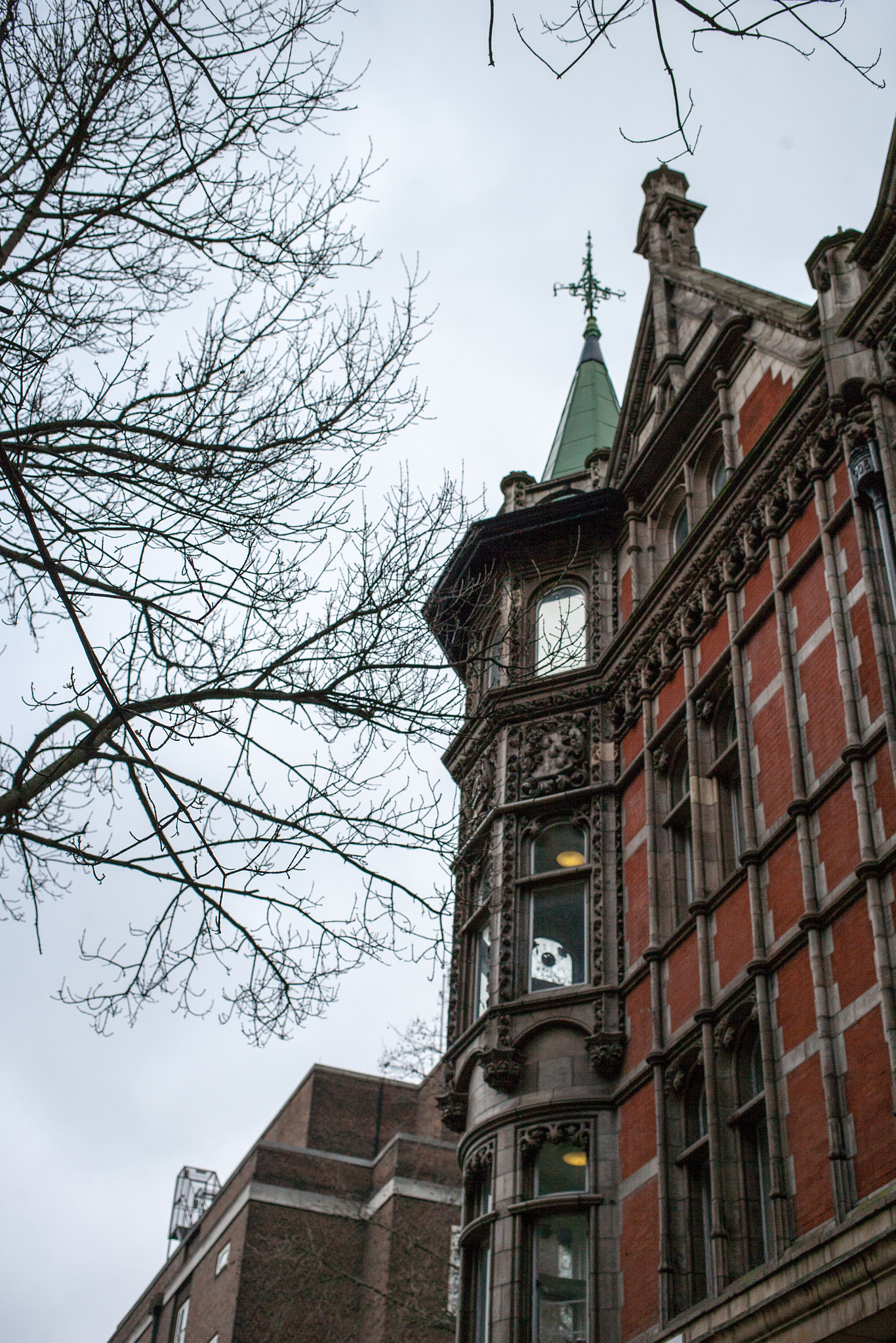 Canon EOS-1Ds Mark II sample photo. 20150215-_91j0027.jpg photography