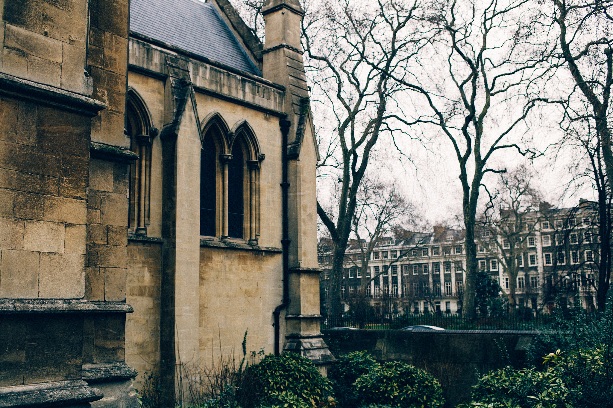 Canon EOS-1Ds Mark II sample photo. 20150215-_91j0040.jpg photography