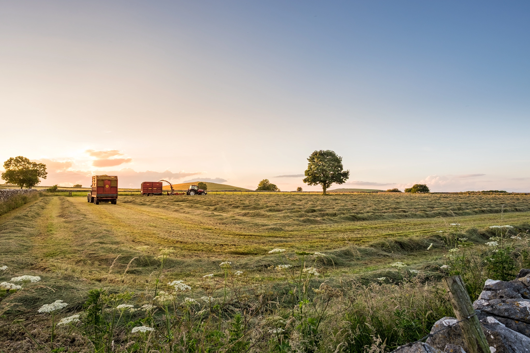 Fujifilm X-T10 + Fujifilm XF 14mm F2.8 R sample photo. Making hay photography