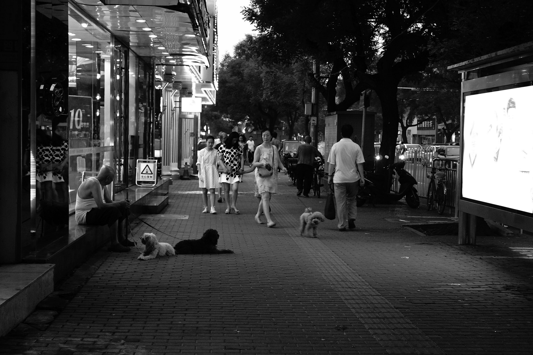 Tamron 18-200mm F3.5-6.3 Di III VC sample photo. Untitled photography