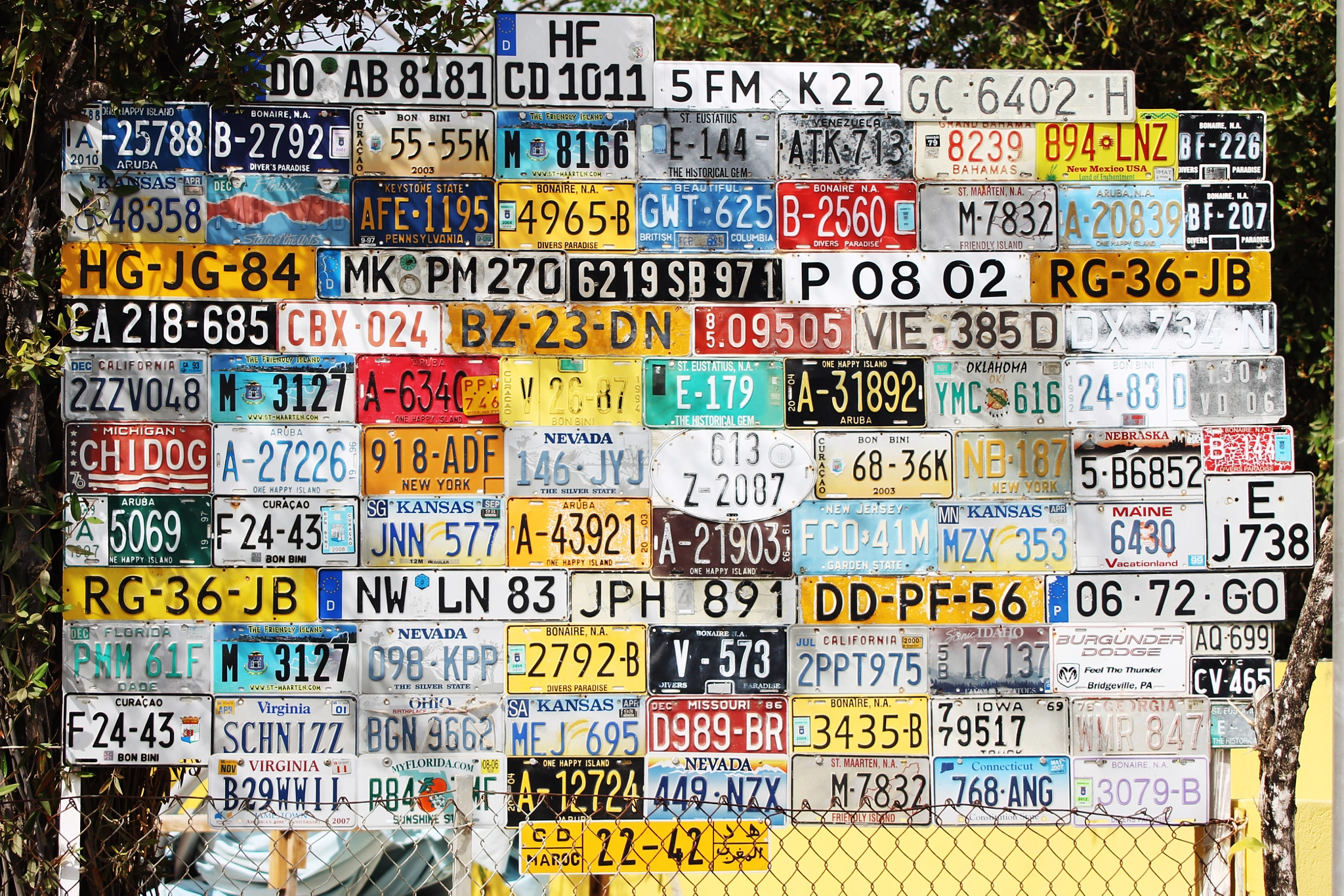 Canon EF 80-200mm F4.5-5.6 II sample photo. Which plate is mine? photography