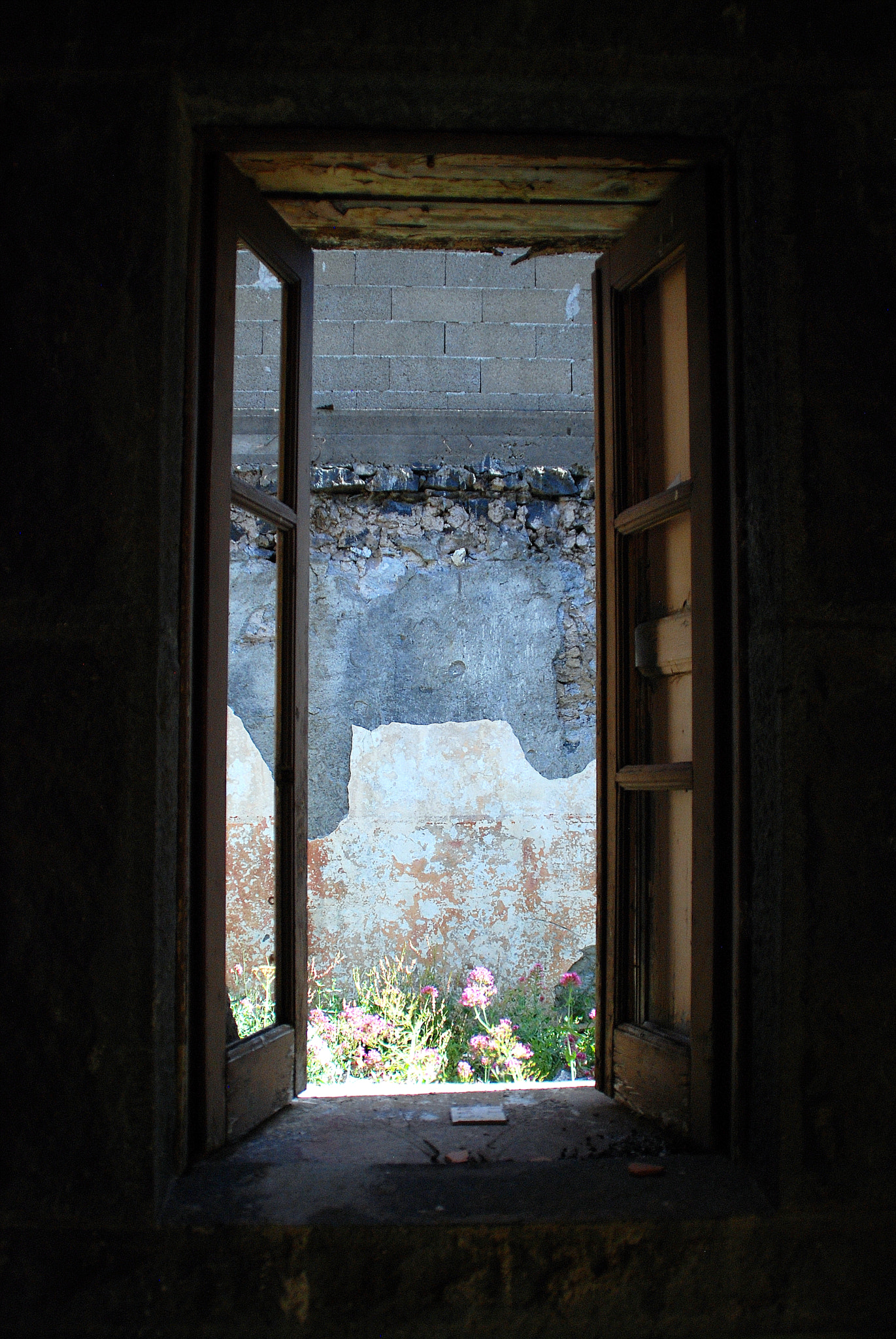 Nikon D80 sample photo. From the window collection v4 photography