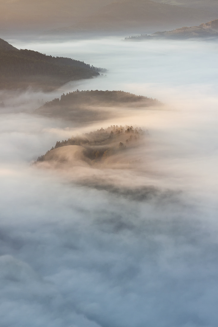 Canon EOS 50D + Canon EF 50mm F1.8 II sample photo. Fog in pieniny photography