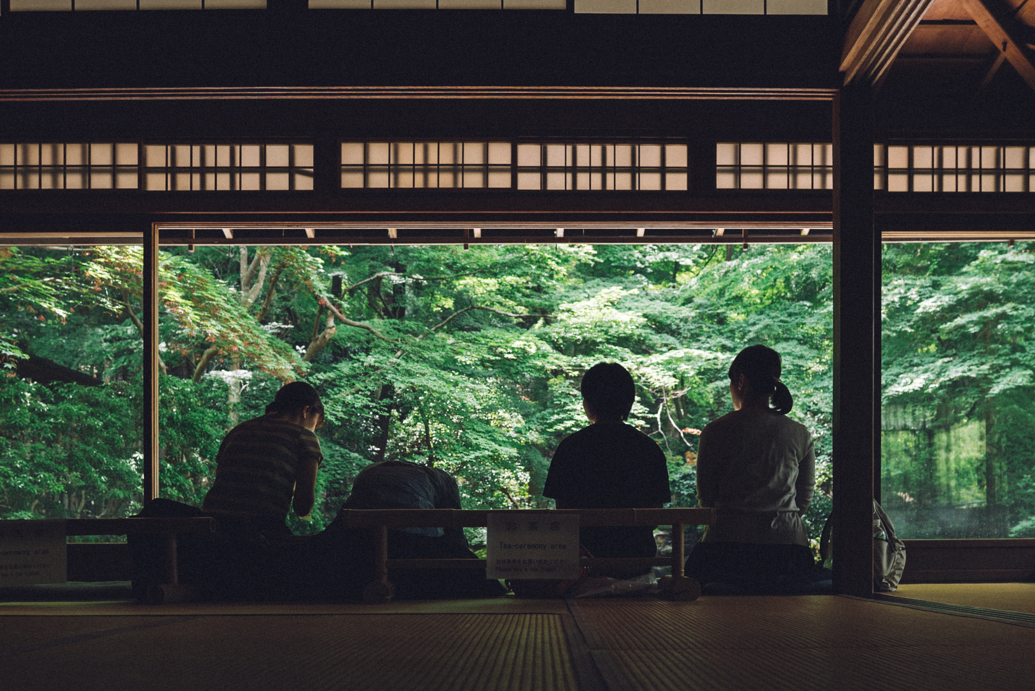 Sony a7S II + Sigma 24-35mm F2 DG HSM Art sample photo. Dsc04108.jpg photography