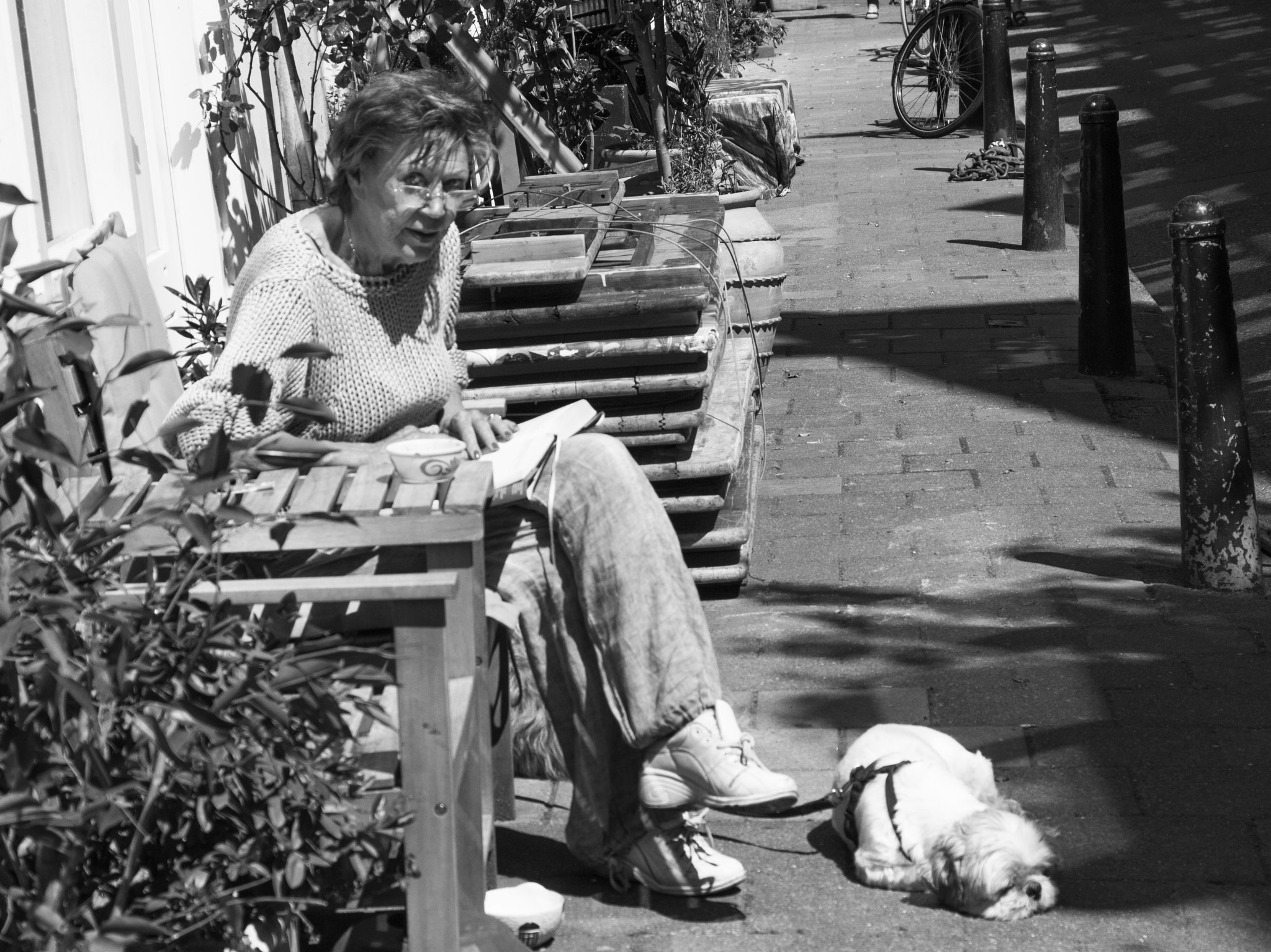 Canon EOS 650D (EOS Rebel T4i / EOS Kiss X6i) sample photo. Summer in amsterdam photography