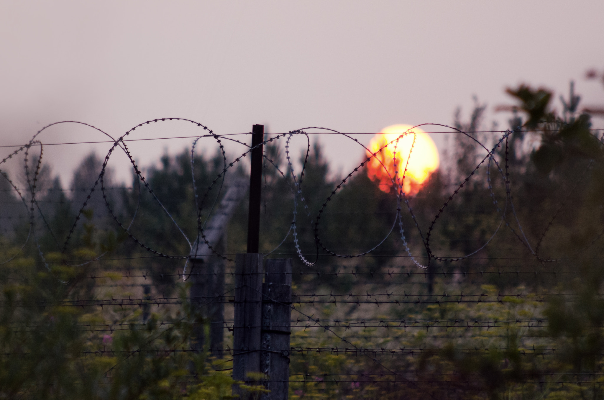 Nikon D7000 + AF Nikkor 70-210mm f/4-5.6 sample photo. Red sunset photography