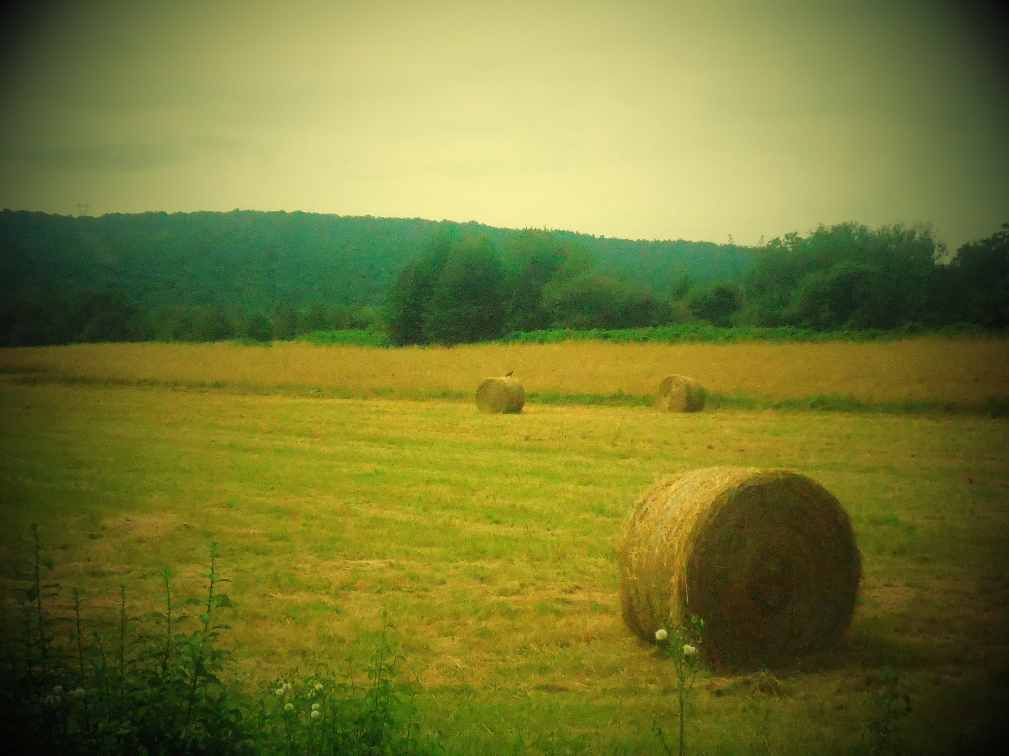 Nikon Coolpix S5200 sample photo. Decouverte photography