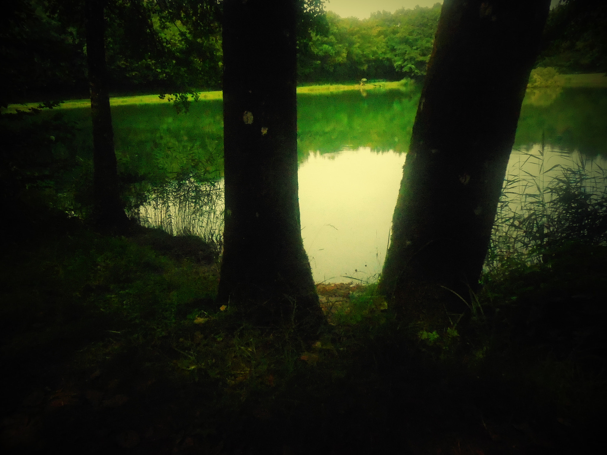 Nikon Coolpix S5200 sample photo. Decouverte photography