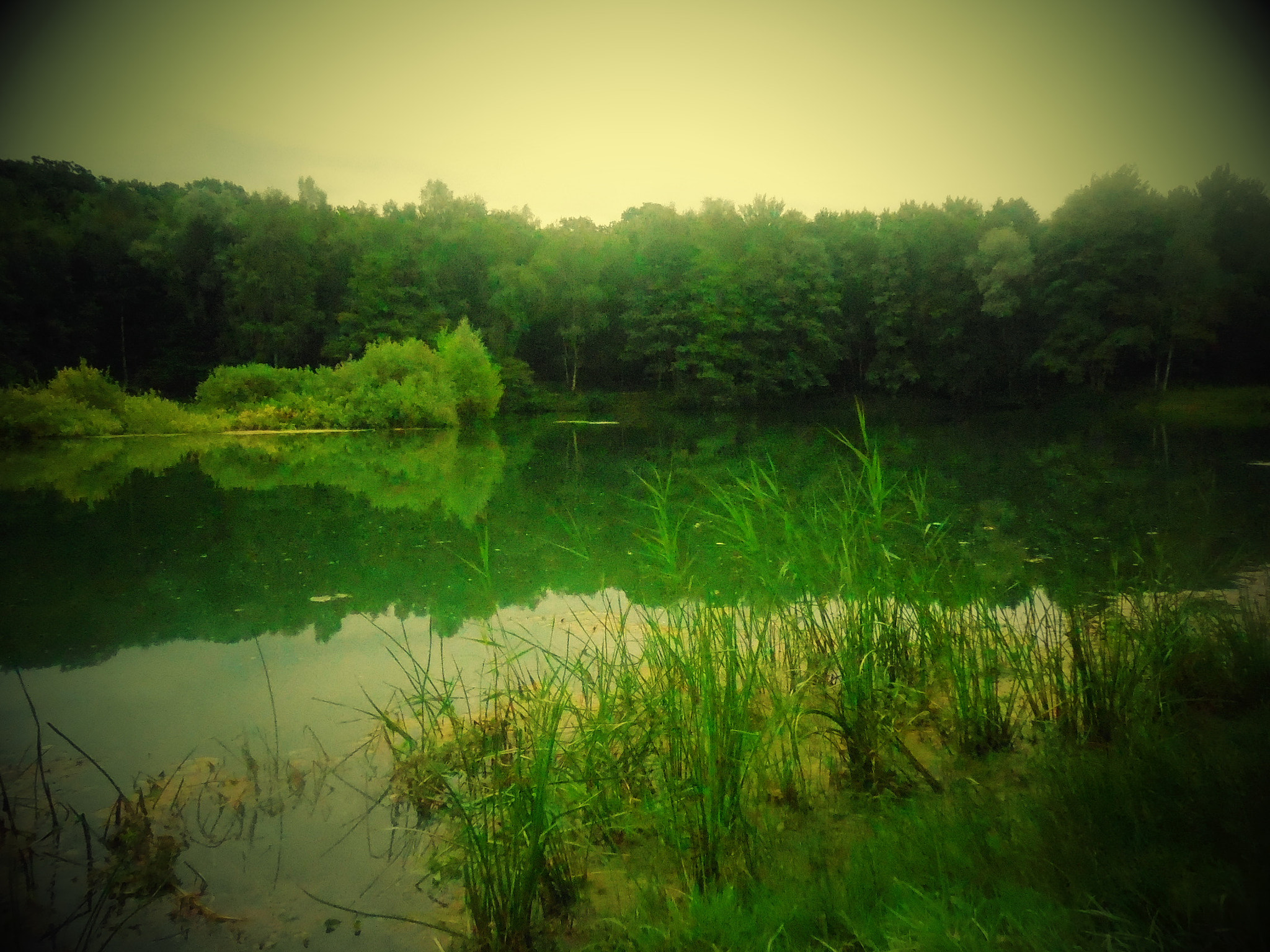 Nikon Coolpix S5200 sample photo. Decouverte photography