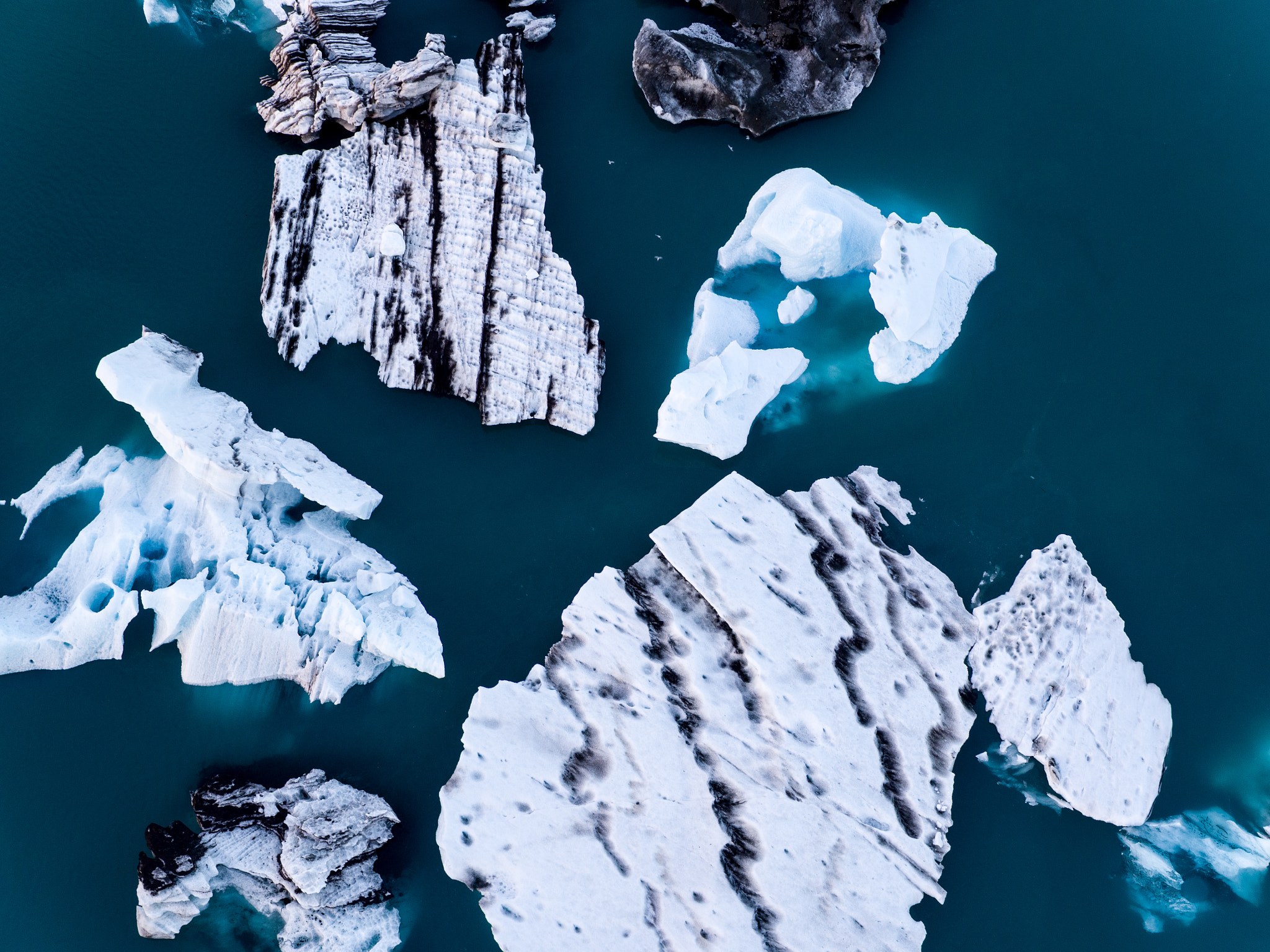 DJI FC550 + Olympus M.Zuiko Digital 25mm F1.8 sample photo. Birds among the icebergs photography