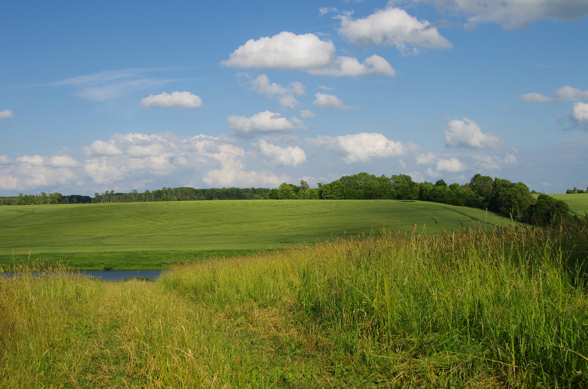 Tamron AF 28-75mm F2.8 XR Di LD Aspherical (IF) sample photo. Summer photography