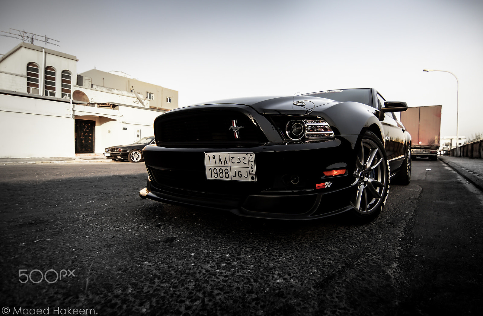 20mm F2.8 sample photo. Black horse 2 photography