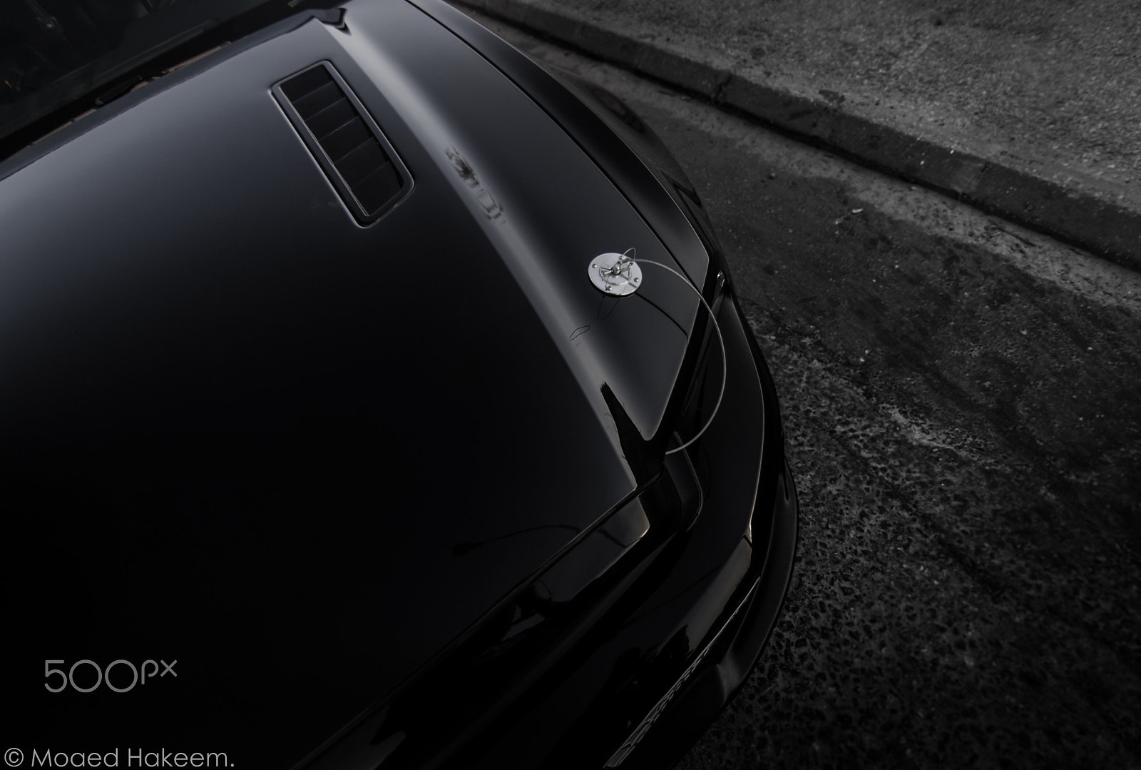 20mm F2.8 sample photo. Black horse 3 photography