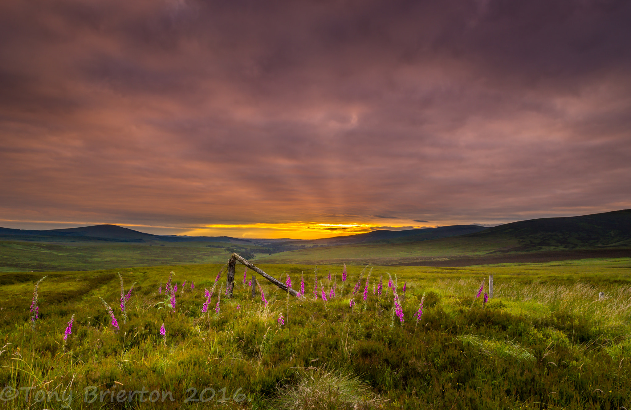 Sony a99 II sample photo. Sunset at sallygap. photography