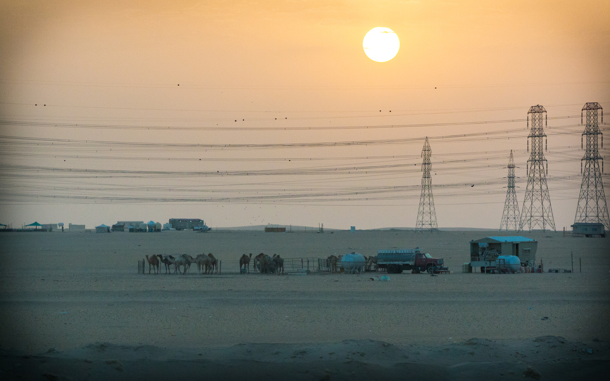 Canon EF 28-300mm F3.5-5.6L IS USM sample photo. Desert life photography