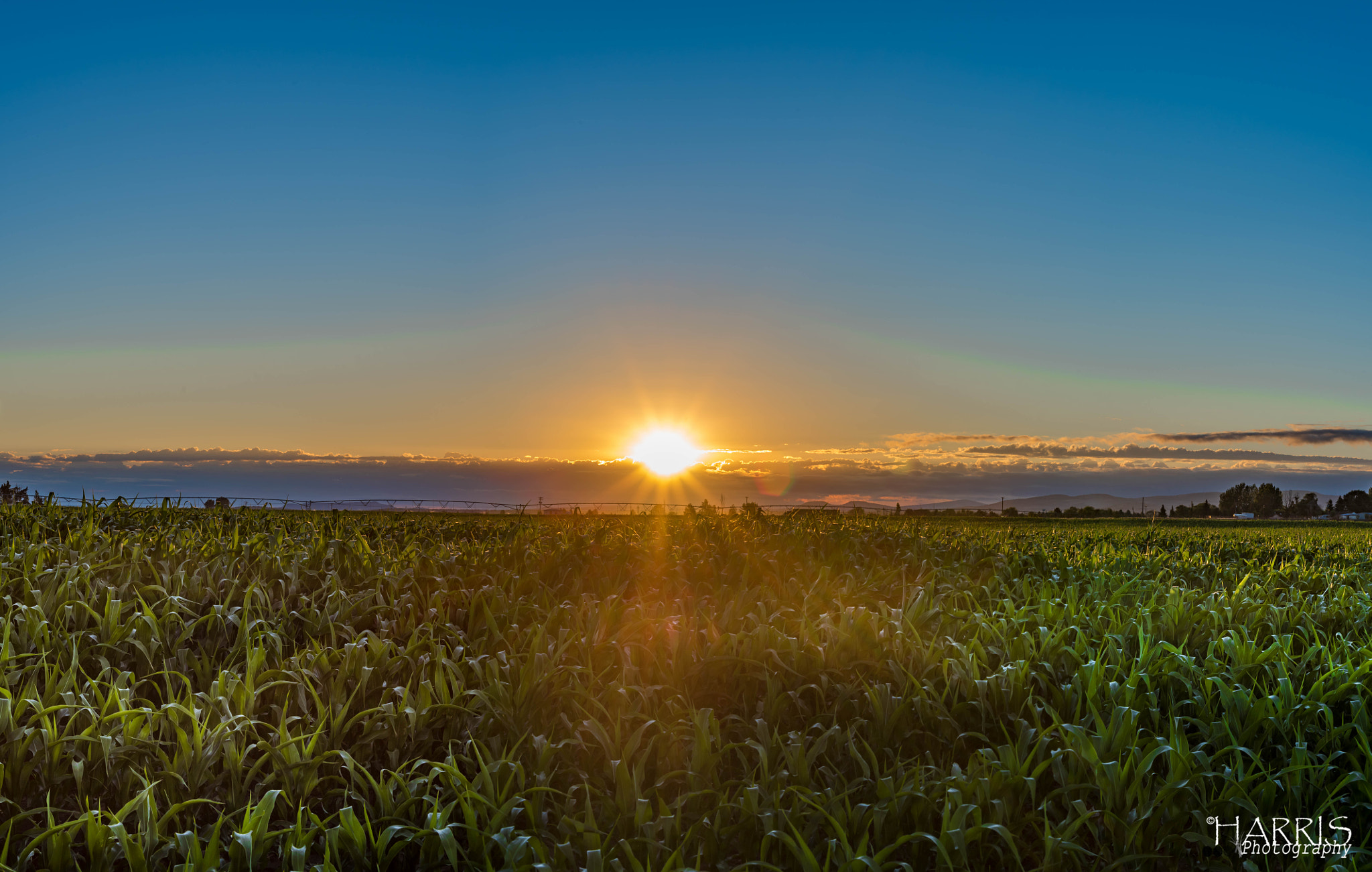 Nikon AF Micro-Nikkor 60mm F2.8D sample photo. Culver, oregon sunrise photography