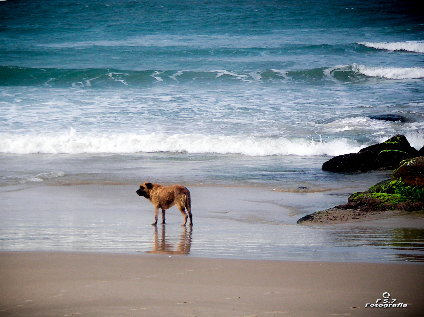Pentax OPTIO W10 sample photo. Alone on the beach photography