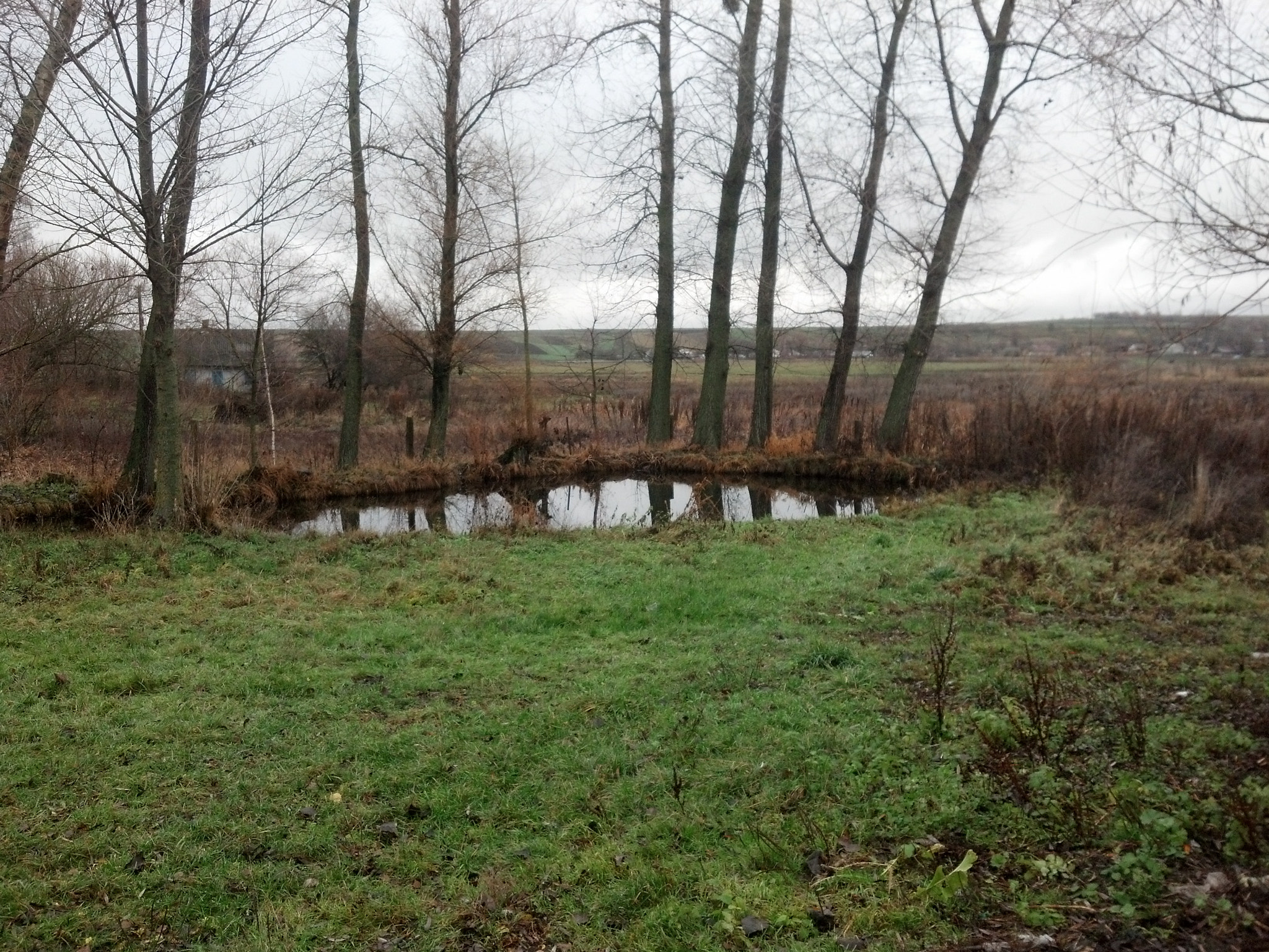 Motorola DROID RAZR sample photo