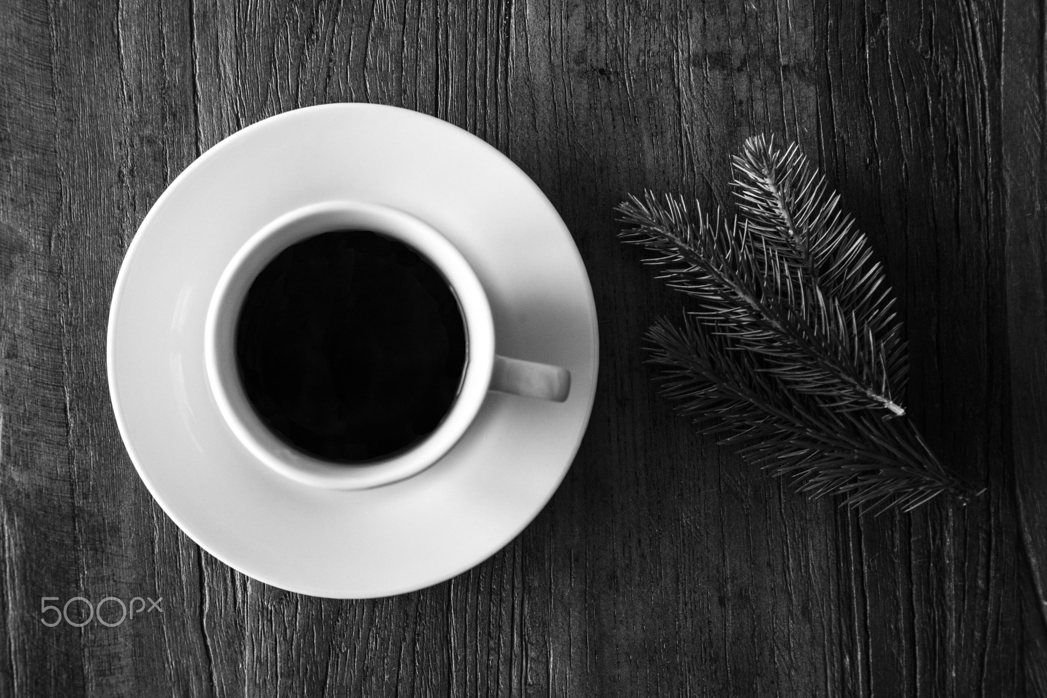 coffee cup