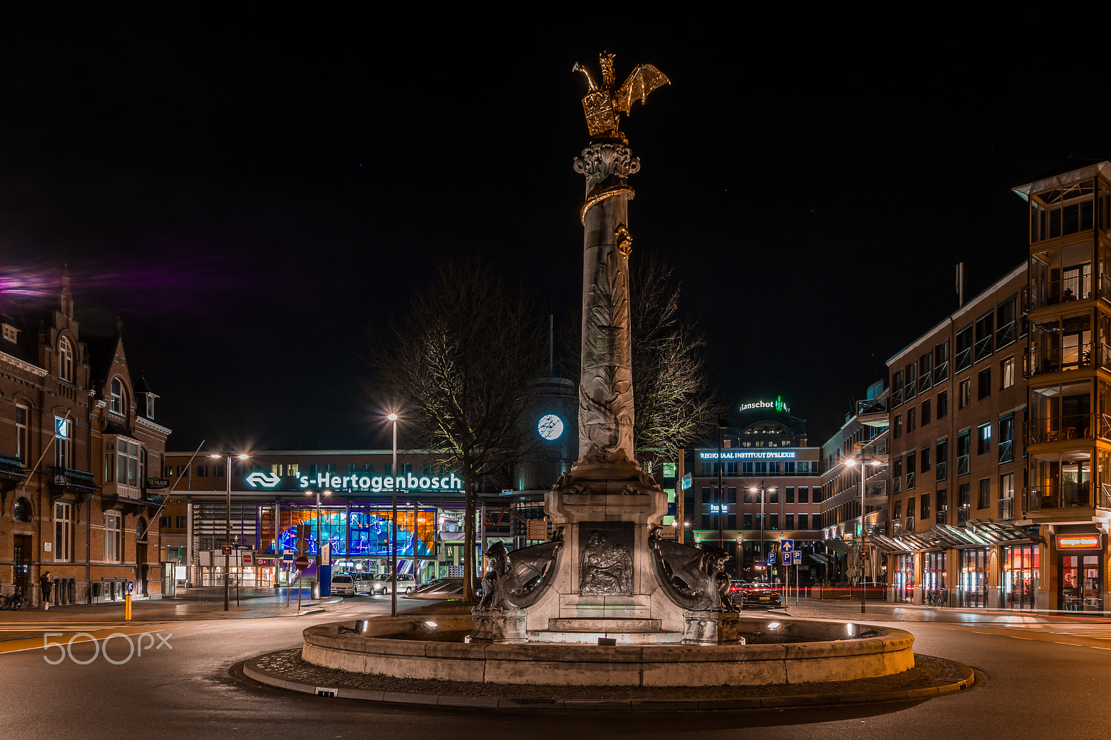 Sony SLT-A65 (SLT-A65V) sample photo. Drakenfontein, station 'shertogenbosch photography